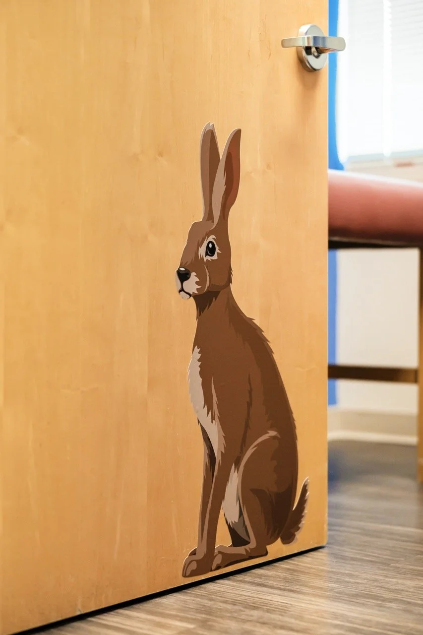 0-Photo-40 Large.jpeg