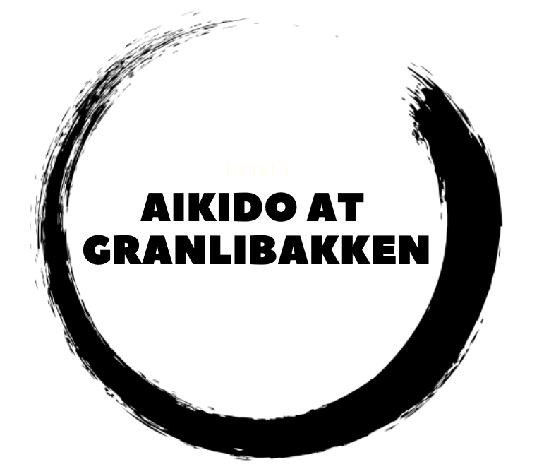 Aikido Retreat at Granlibakken 2026