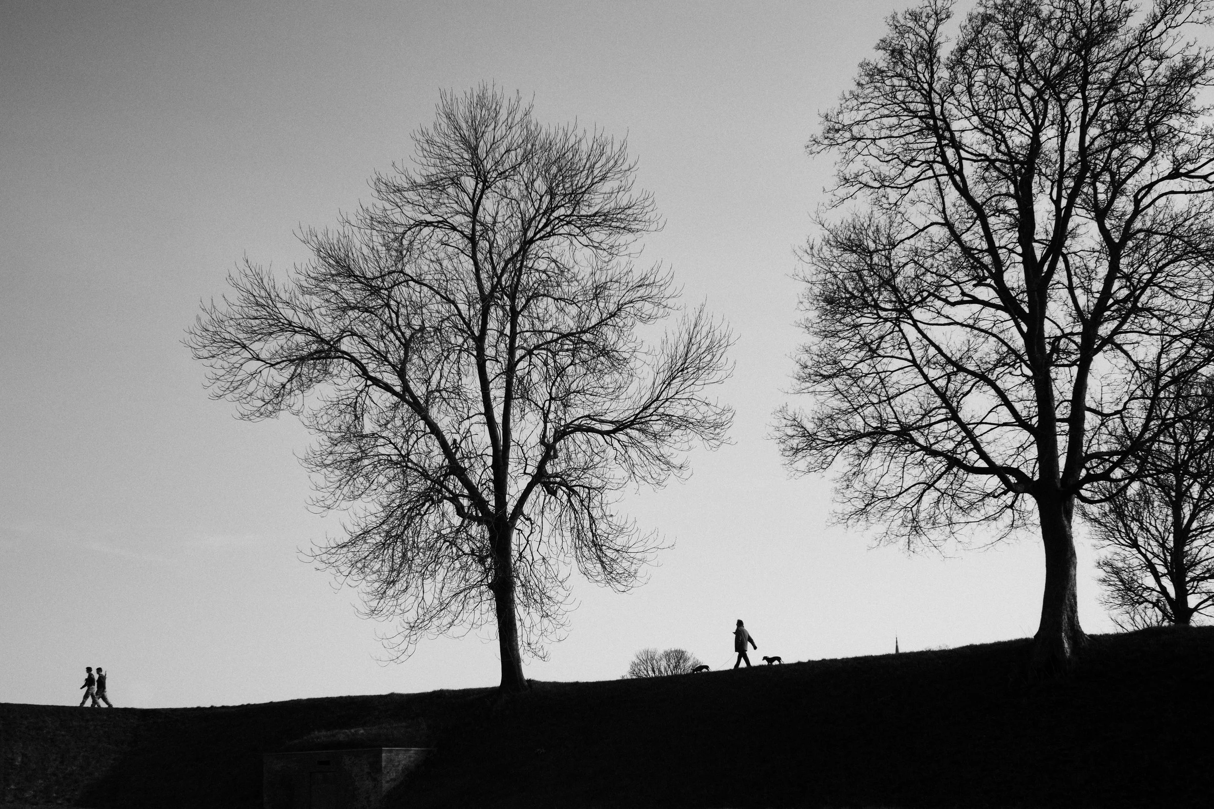 DSCF8165.jpg