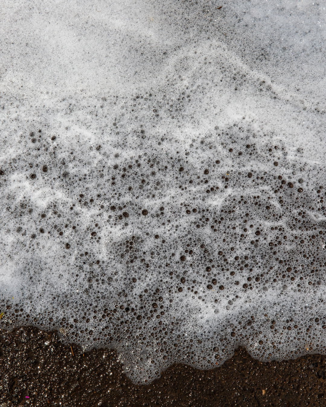 foamy chemical on soil
