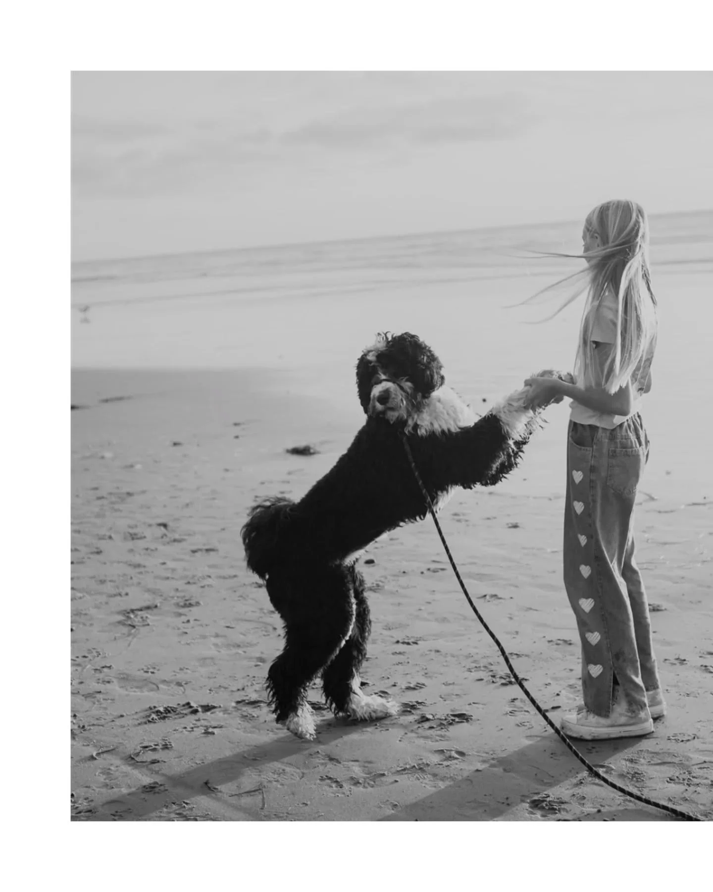 I hope everyone has a wonderful weekend, filled with people and things you love. 🤍

#socalfamilyphotographer #carlsbadphotographer #oceansidephotographer #sandiegophotographer #familyphotos #dogbeach #sunset #play #blackandwhitephotography