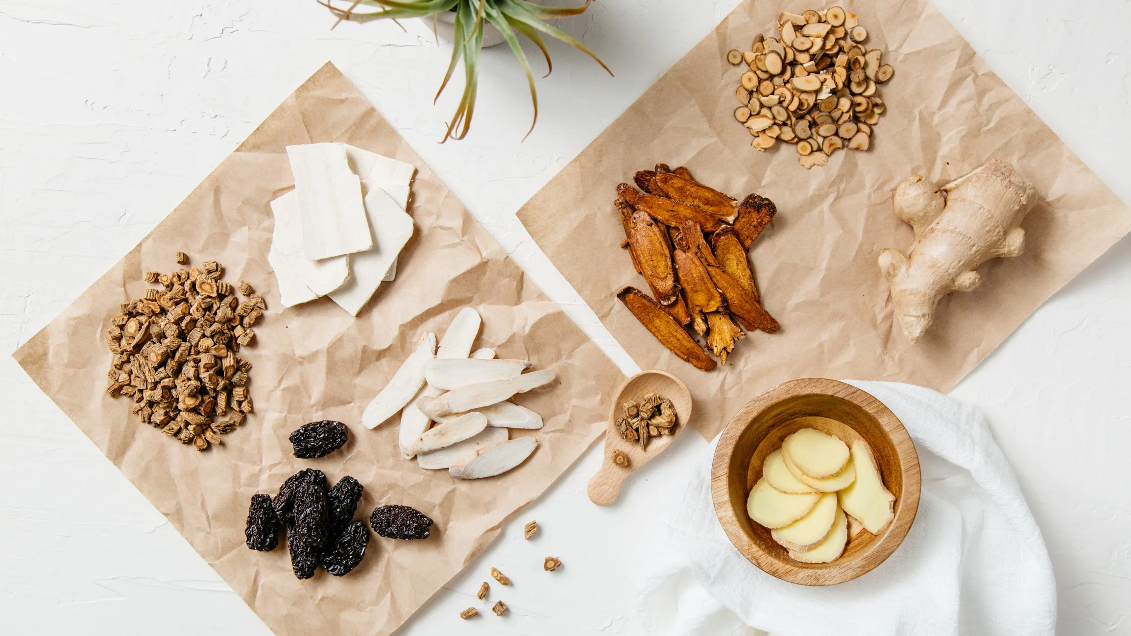 Perimenopause, Menopause and Hormonal Breakouts: Can Chinese Herbal Medicine Help?