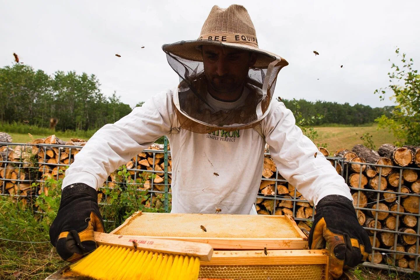 As we head into the winter season and look forward to a season of rest, reflection and planning for the 2022 season, we are feeling really grateful for the year that has passed. And missing our bee babies, if we&rsquo;re being honest!

What is your f