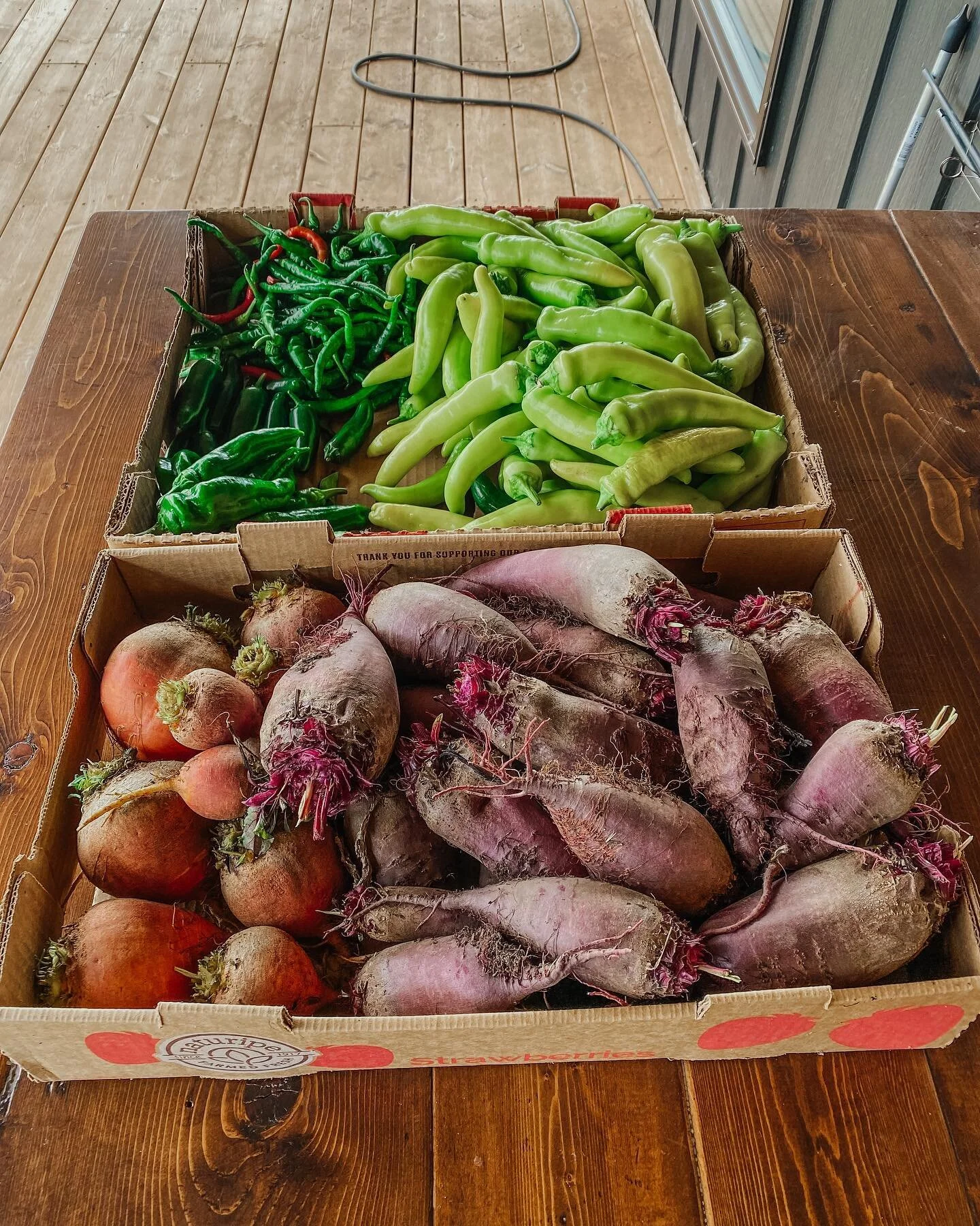 Harvest season! It&rsquo;s colourful and plentiful and hopeful. It&rsquo;s truly our favourite season! It&rsquo;s an extra busy time, but there&rsquo;s the slow, restful winter months ahead to look forward to. Also looking forward to planting some Fa