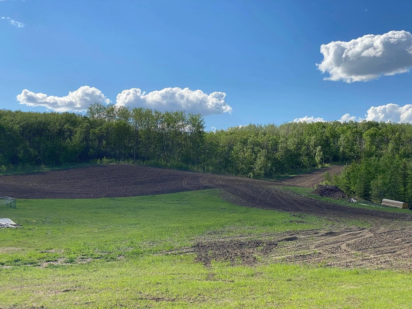 This Spring we took on an exciting project of seeding just over 10 acres of our land to a bee blend crop. We worked with the folks from @kattlesquared to come up with a blend that would offer continuous flowers for the bees and also benefits for soil