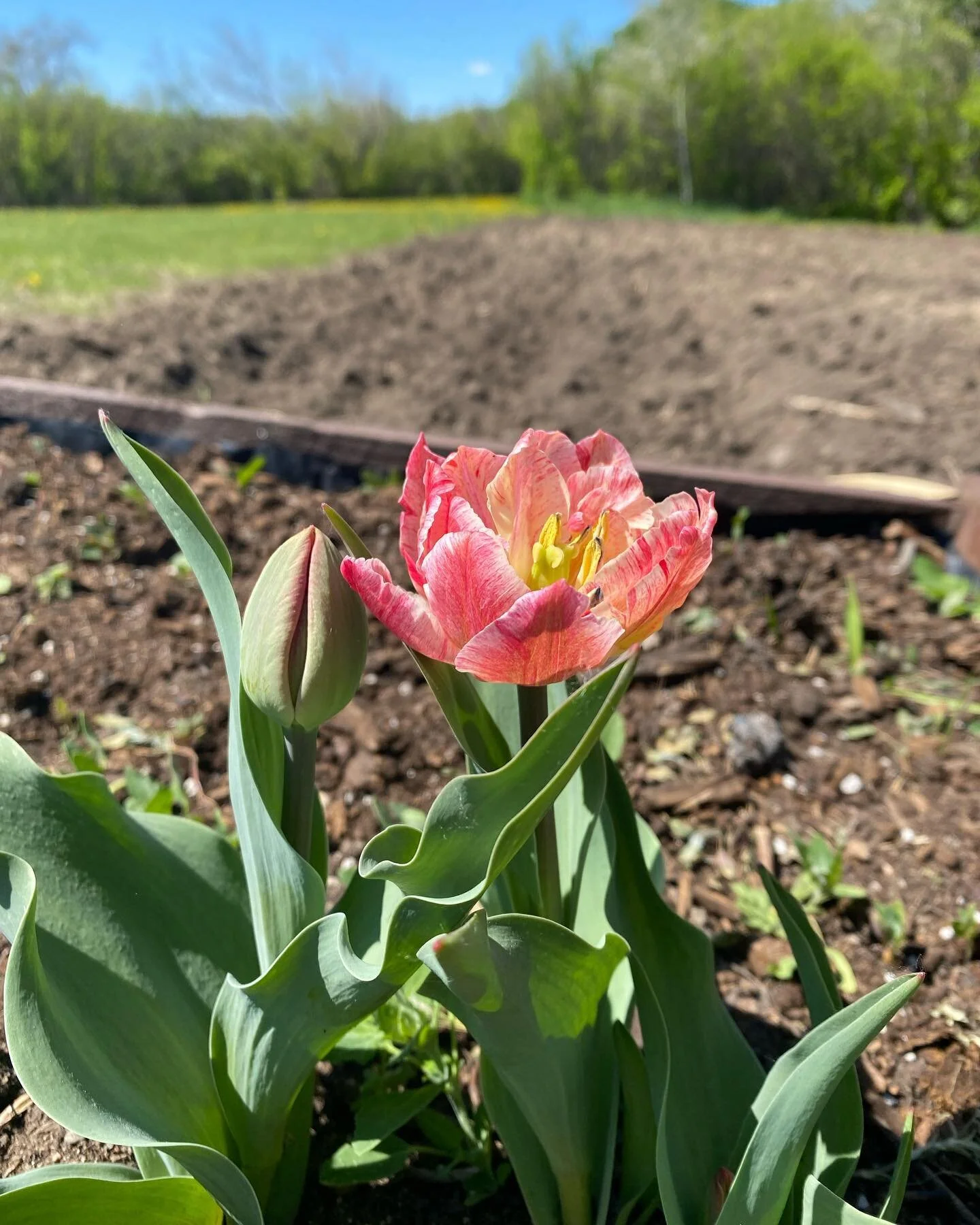 Hello everyone! Wow! It&rsquo;s been a while. Matt and I welcomed our baby girl, Avery, in January and life has been a bit of a whirlwind ever since. We are excited for spring and summer! It was a slow start to the season, but we&rsquo;re finally get