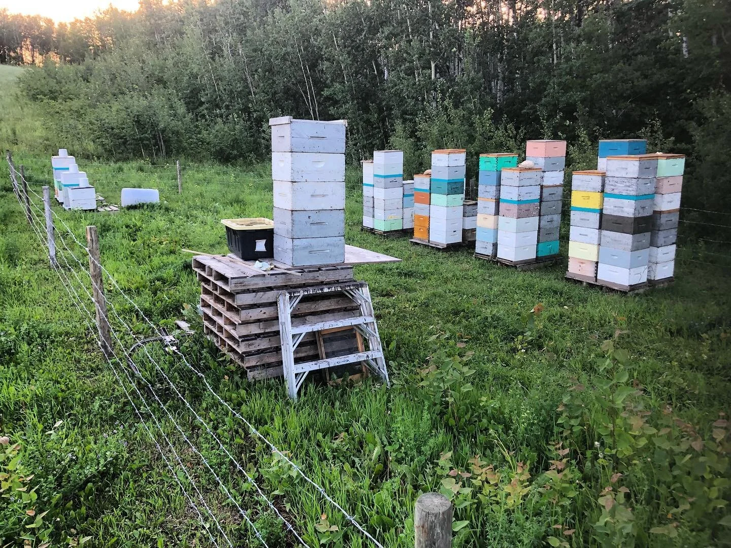 The bee yards are stacked sky high! Last night we extracted our first honey harvest of 2022! Which means&hellip;&hellip; fresh honey will be available so, so soon! Stay tuned for updated sizing, pricing and where to buy!
.
.
.
.
.
.
.
.
.
#beekeepers