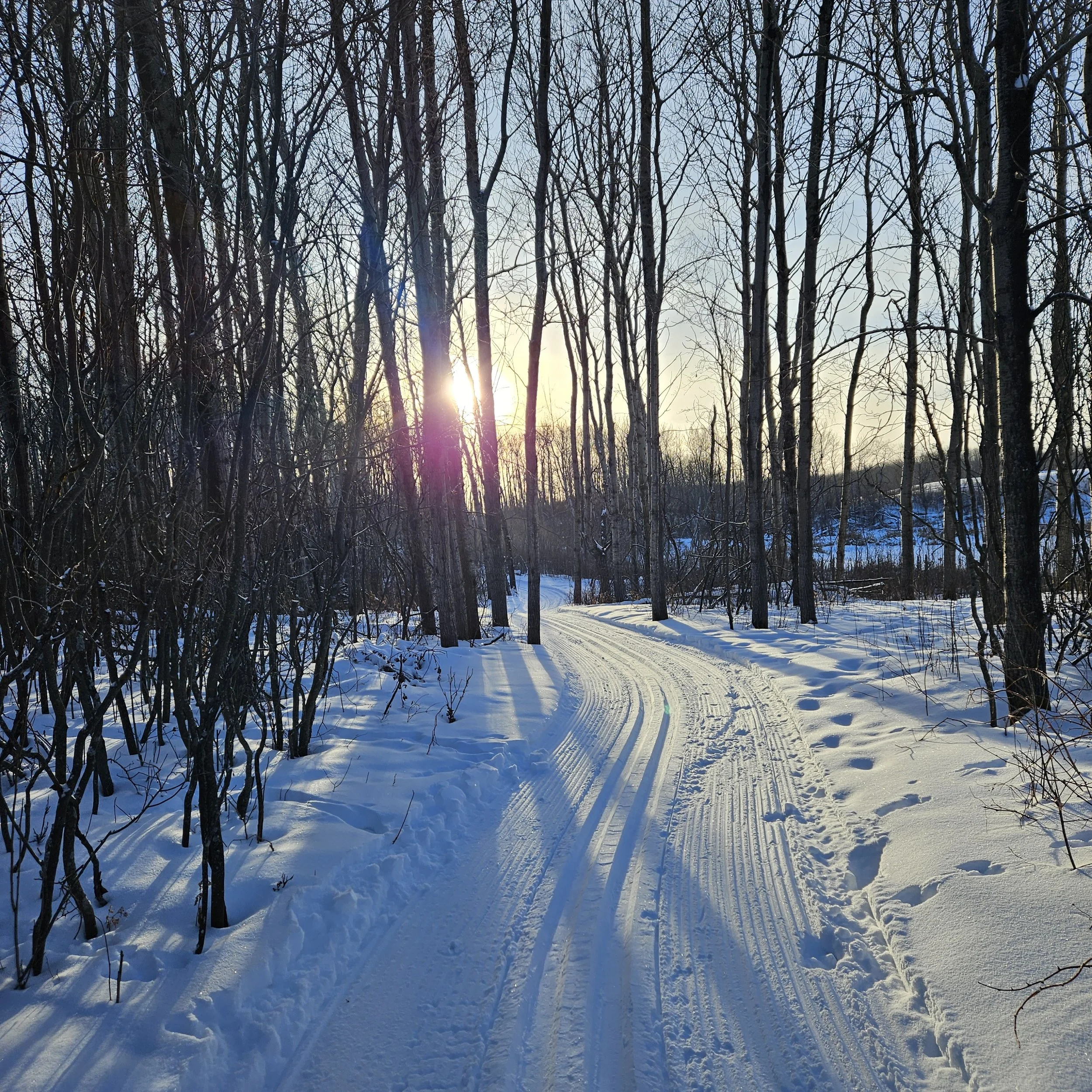 20250103_154223.jpg