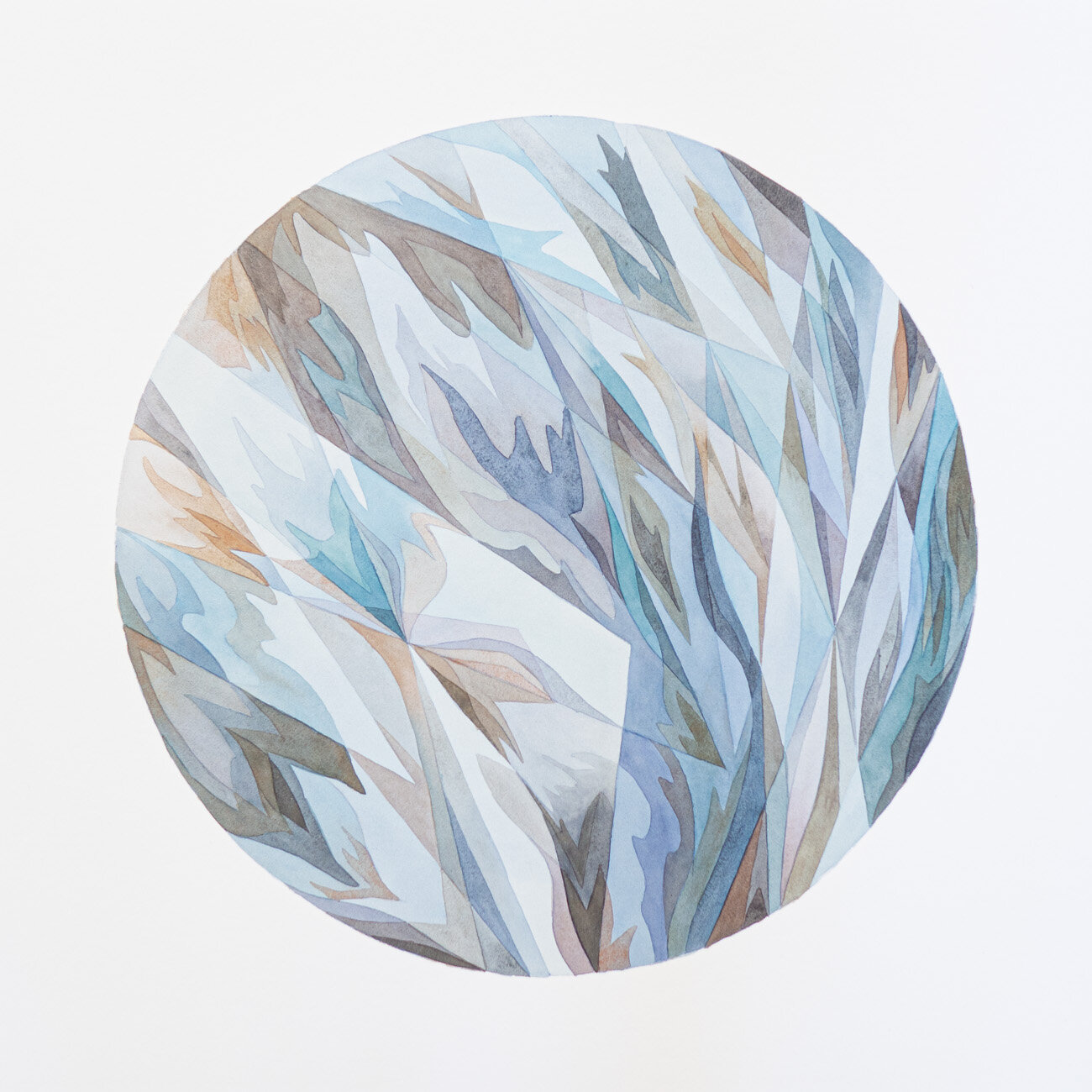 Minnow-Print-web.jpg