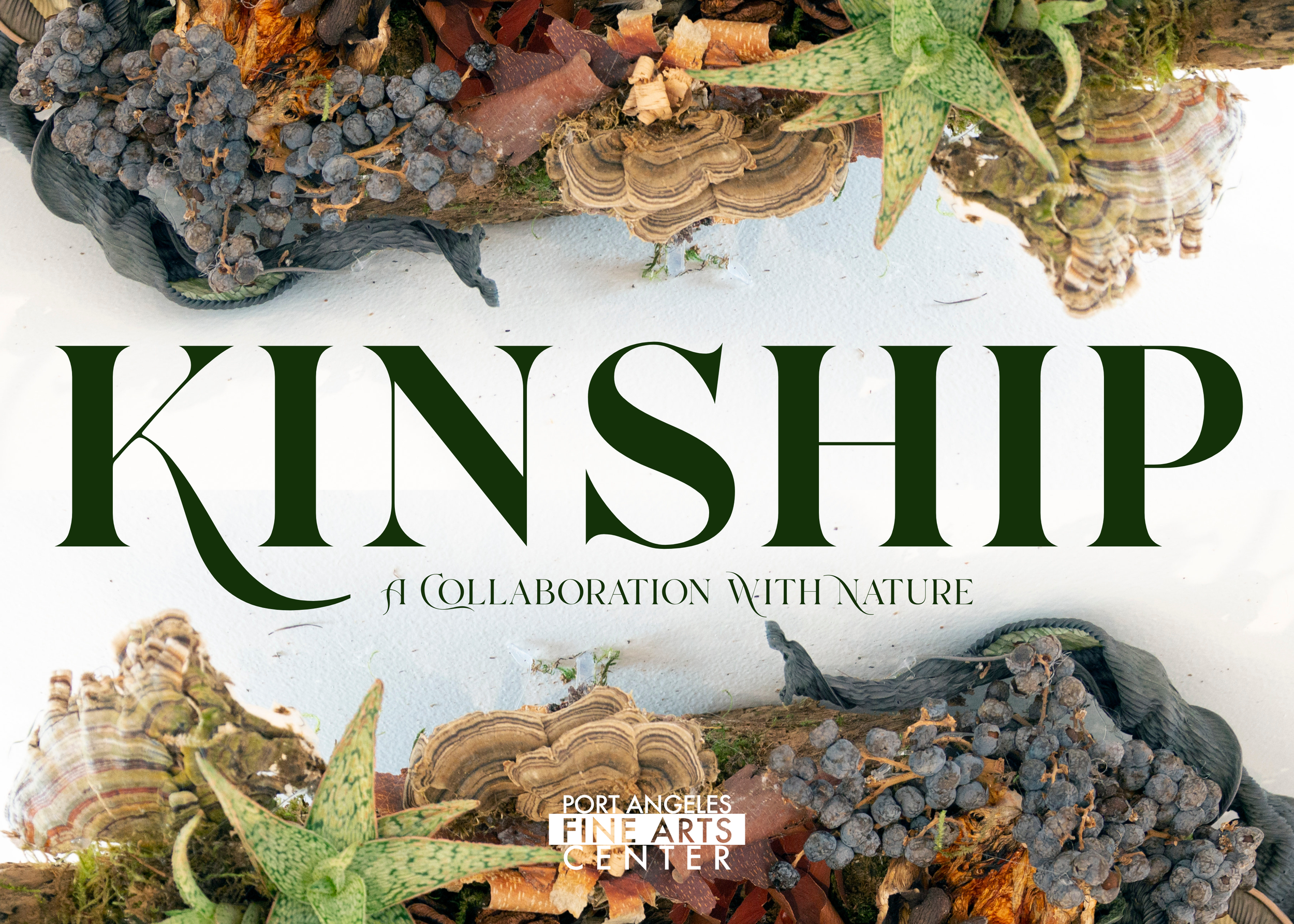Kinship: A Collaboration with Nature