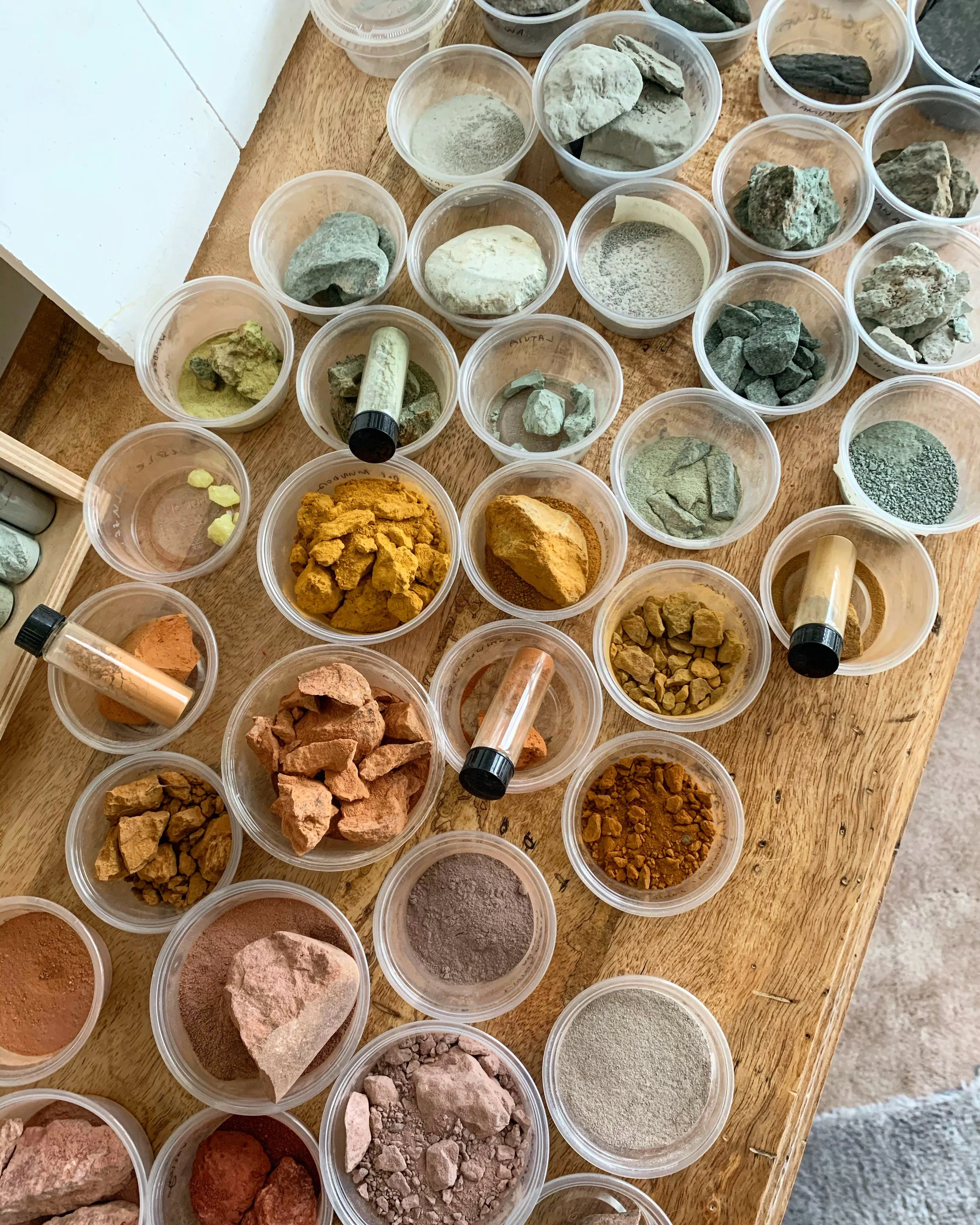 pigment-trays.jpg