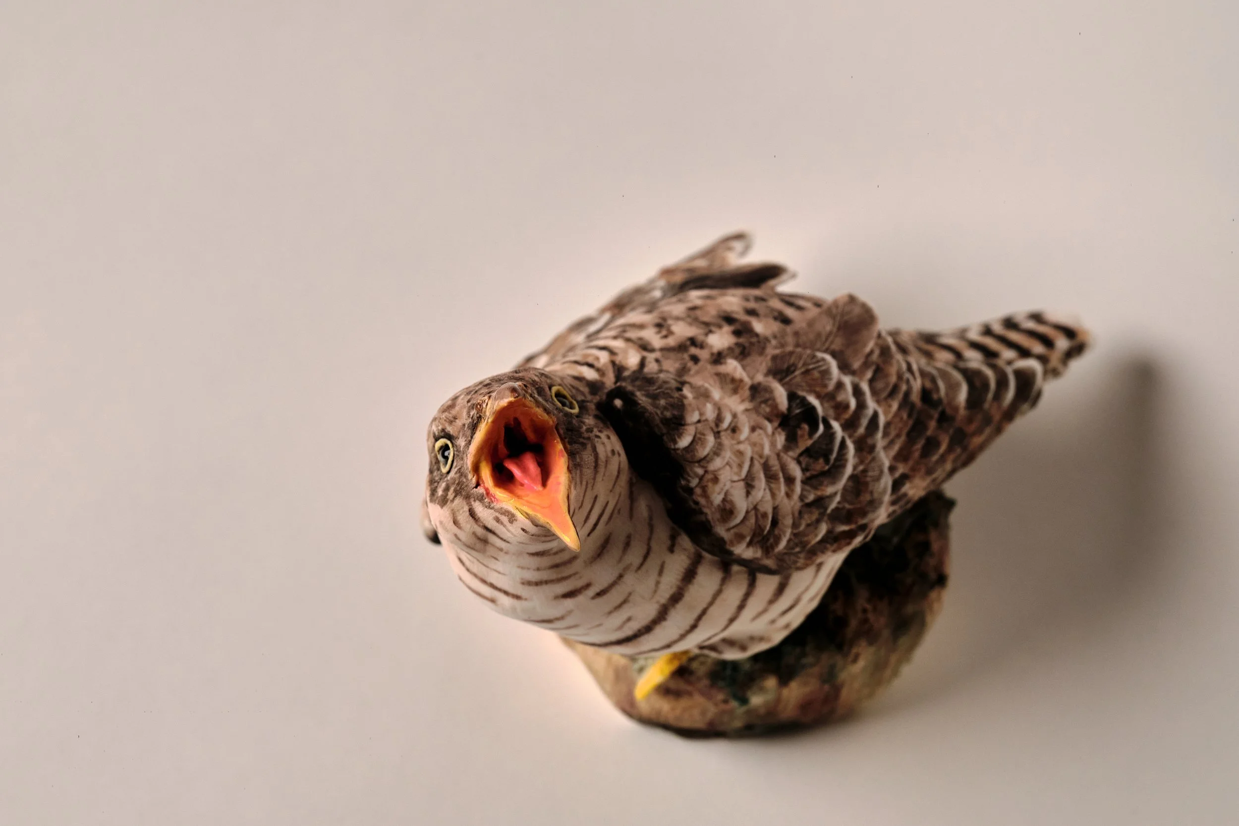 Cuckoo_2026_Porcelain_14x17x22cm_PD_512.jpg