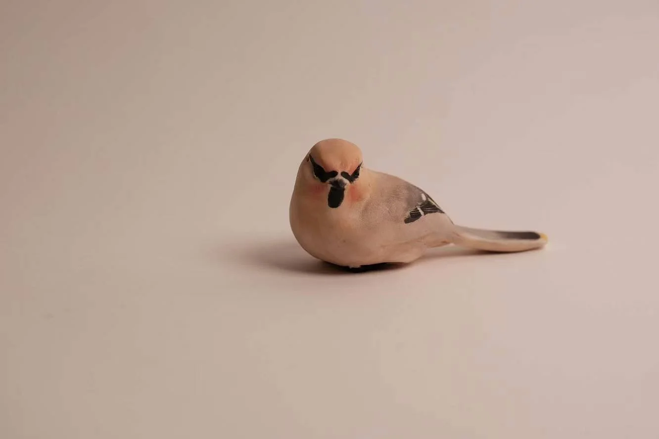 0e10bea6f2c6172aefa34eab88f44d93.jpeg