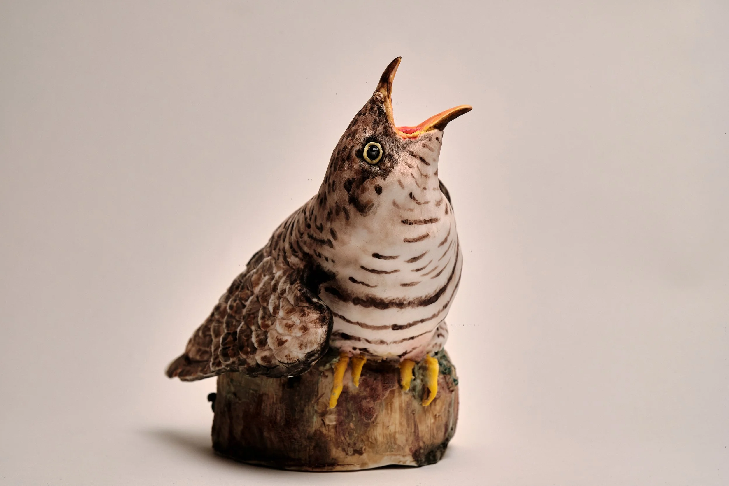 Cuckoo_2026_Porcelain_14x17x22cm_PD_516.jpg