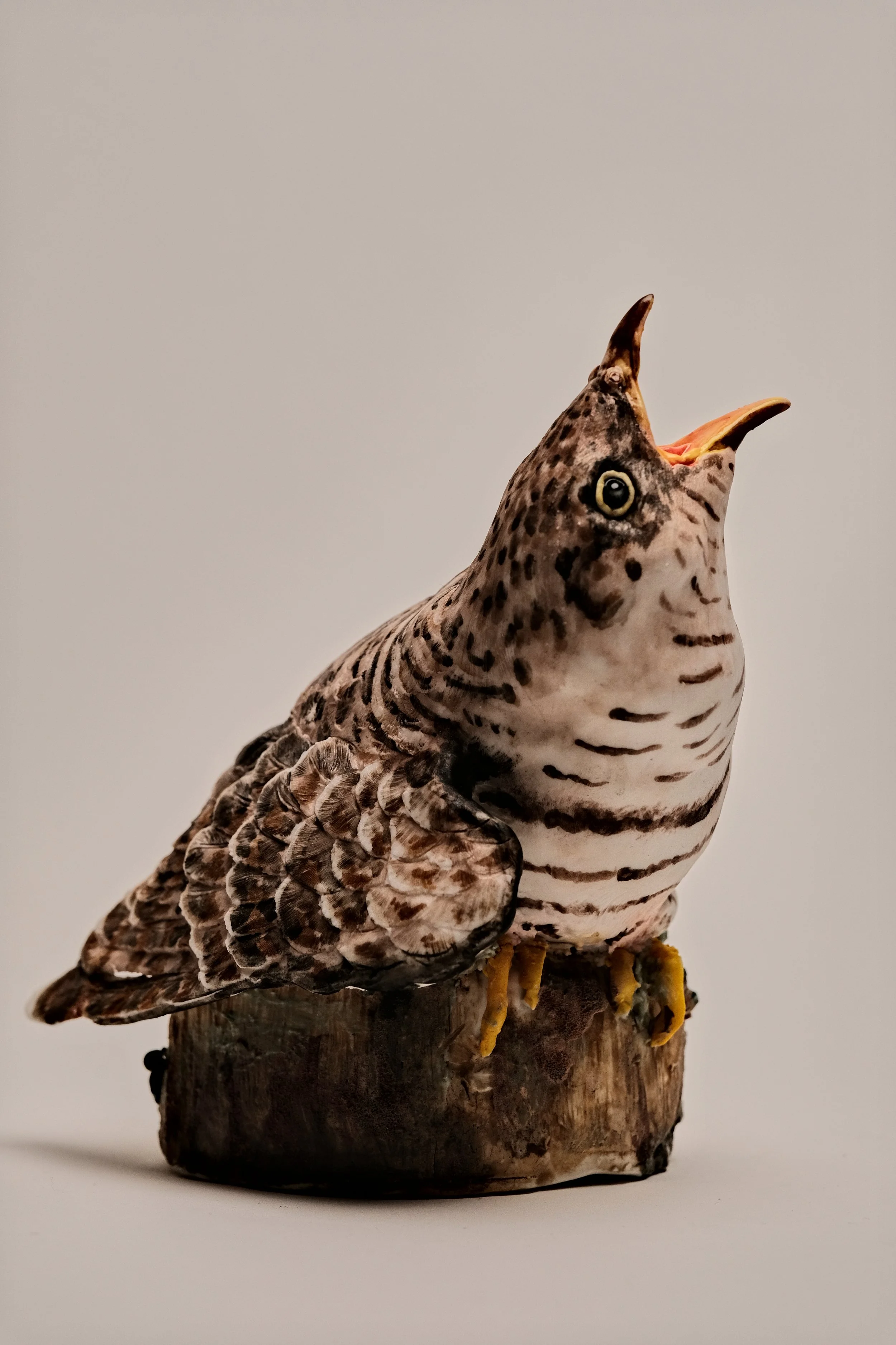 Cuckoo_2026_Porcelain_14x17x22cm_PD_520.jpg