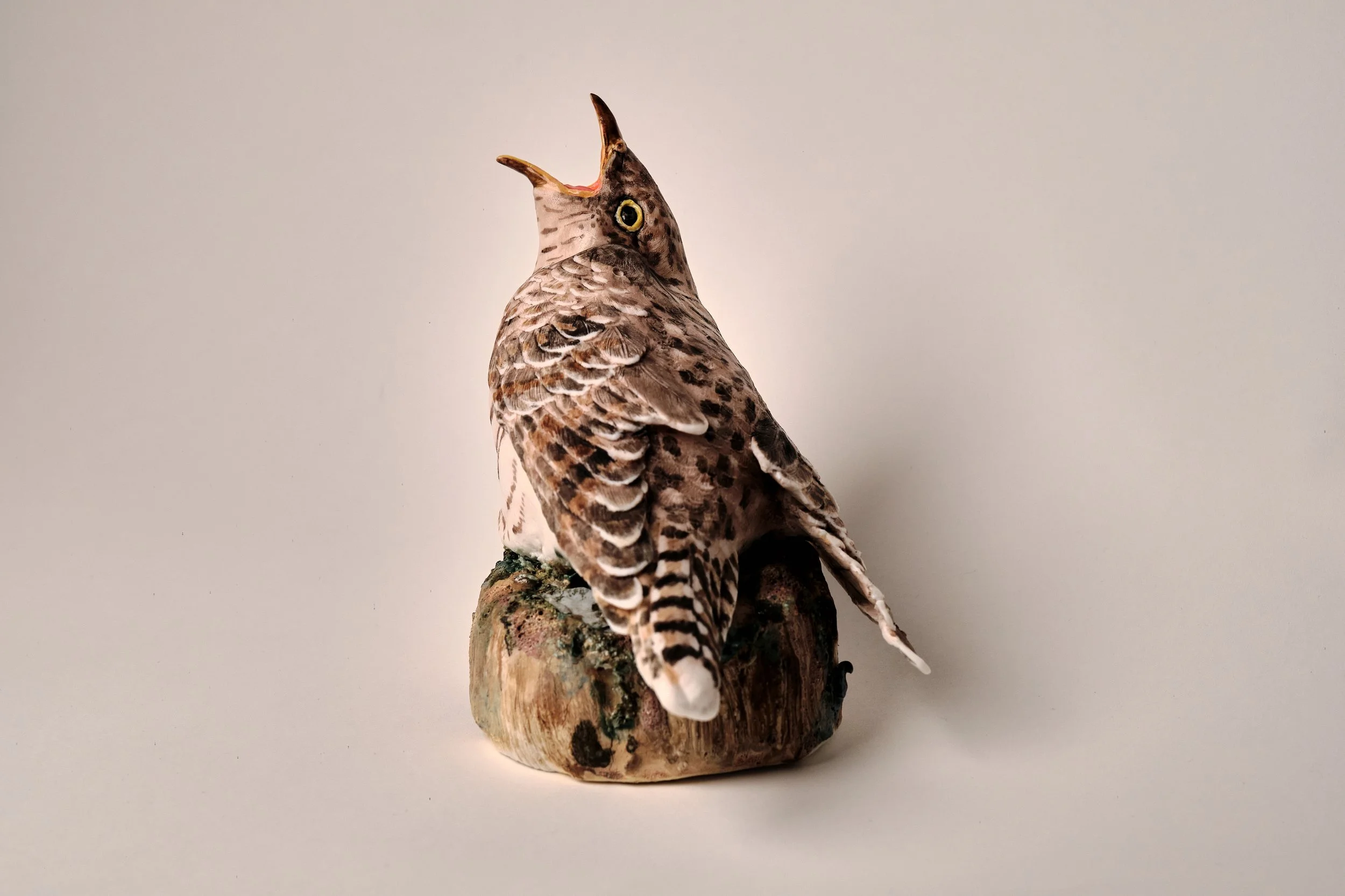 Cuckoo_2026_Porcelain_14x17x22cm_PD_508.jpg
