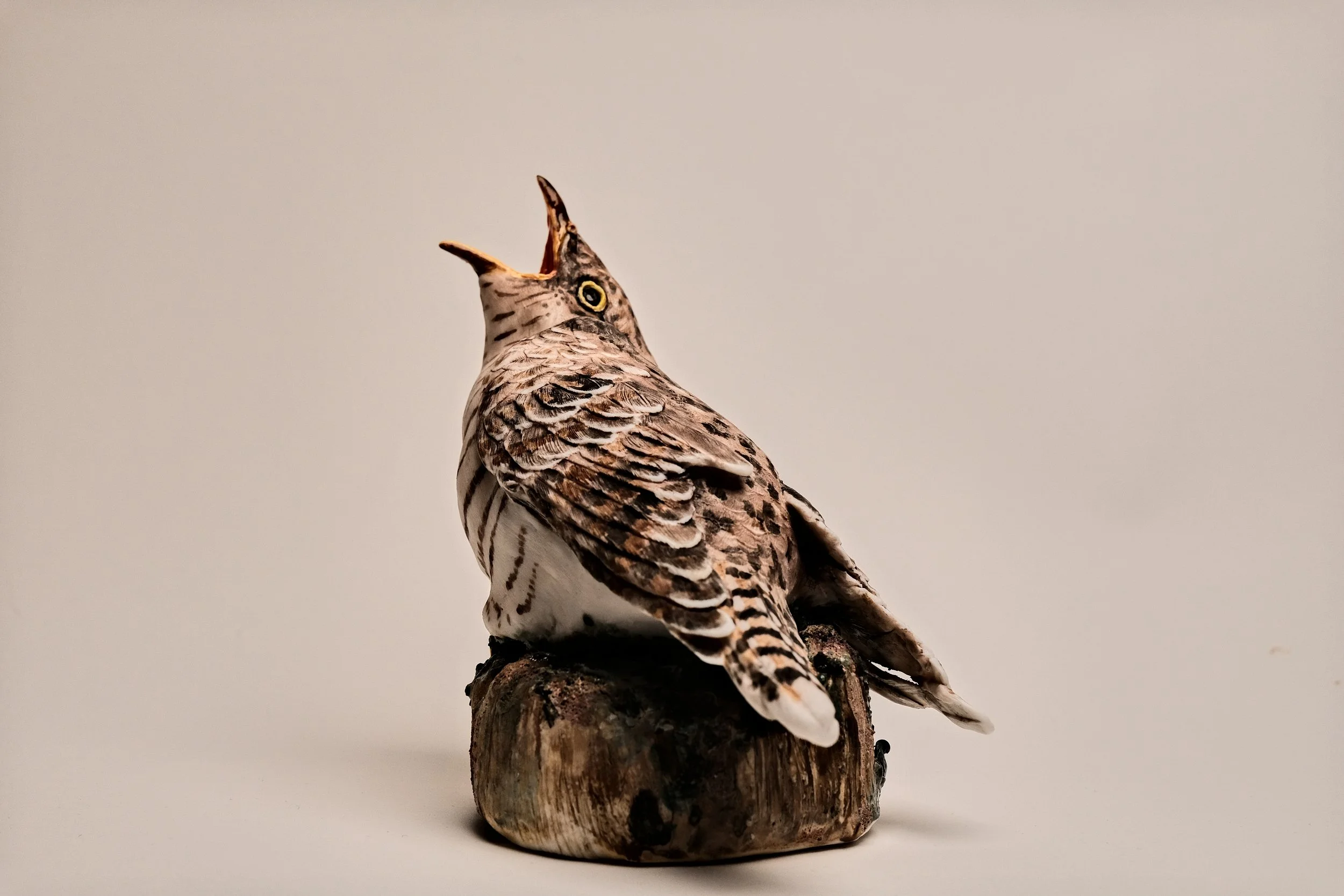 Cuckoo_2026_Porcelain_14x17x22cm_PD_518.jpg