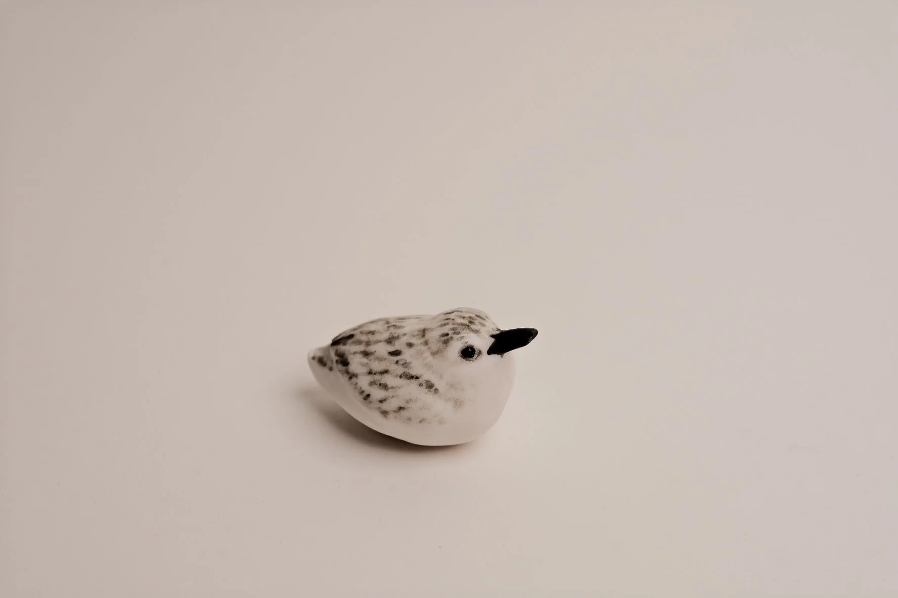 Spoon-billed sandpiper Whistle.jpg