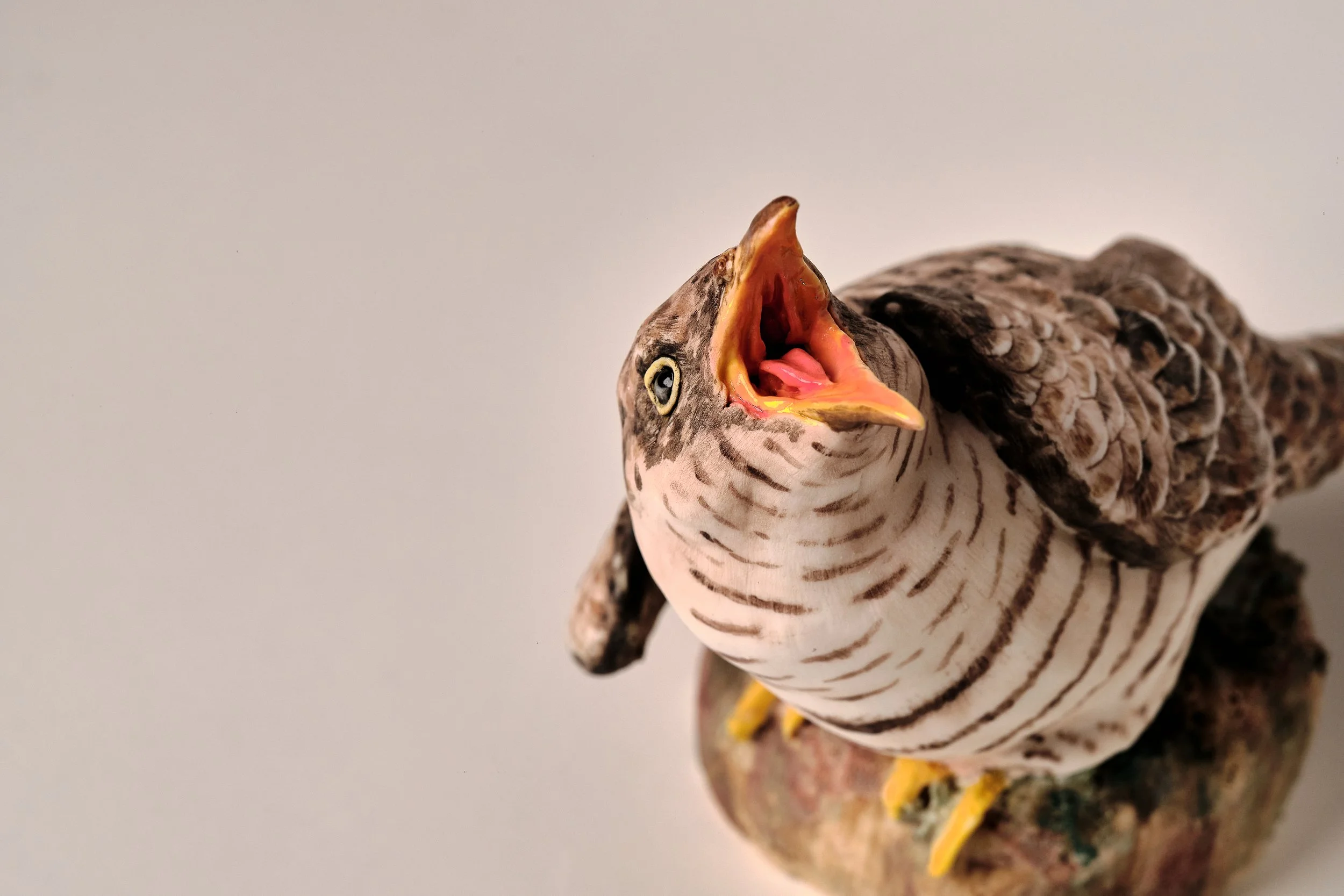Cuckoo_2026_Porcelain_14x17x22cm_PD_513.jpg