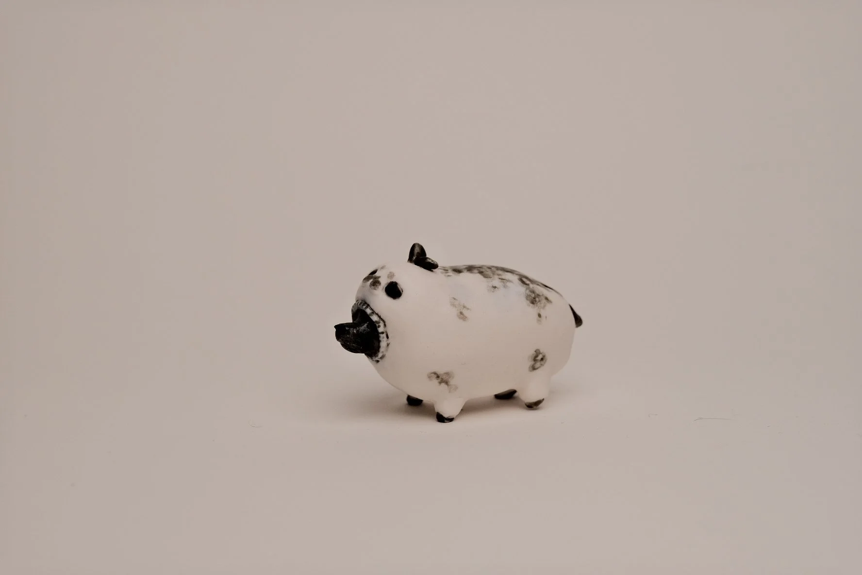 Dog in Seal suit_Silent Version.jpg