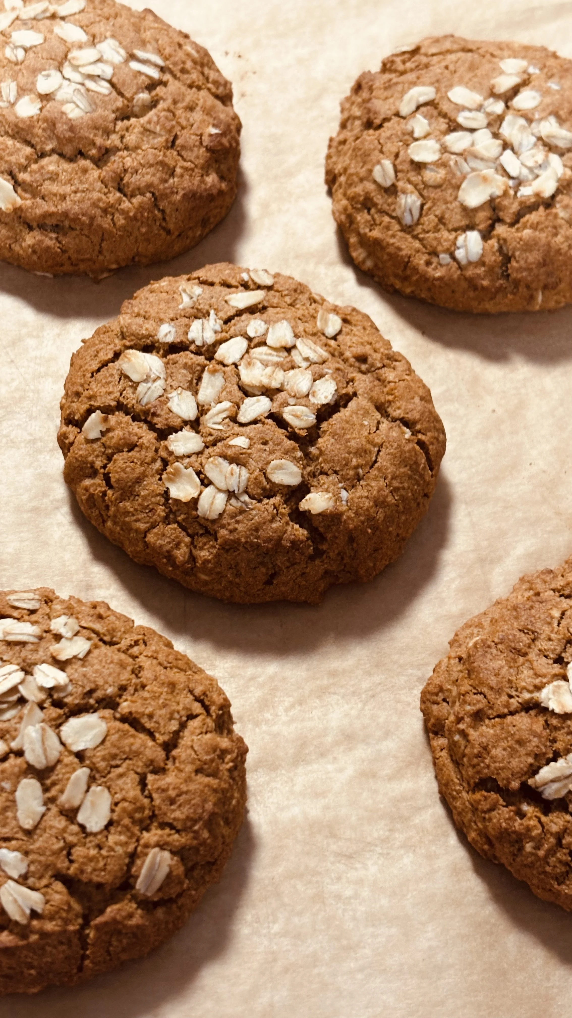 Sweet Potato Gingerbread otmeal cookie (GF, EF)