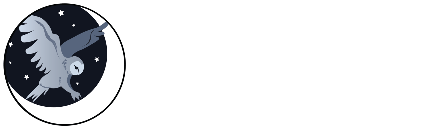 Insomniac Illustrations