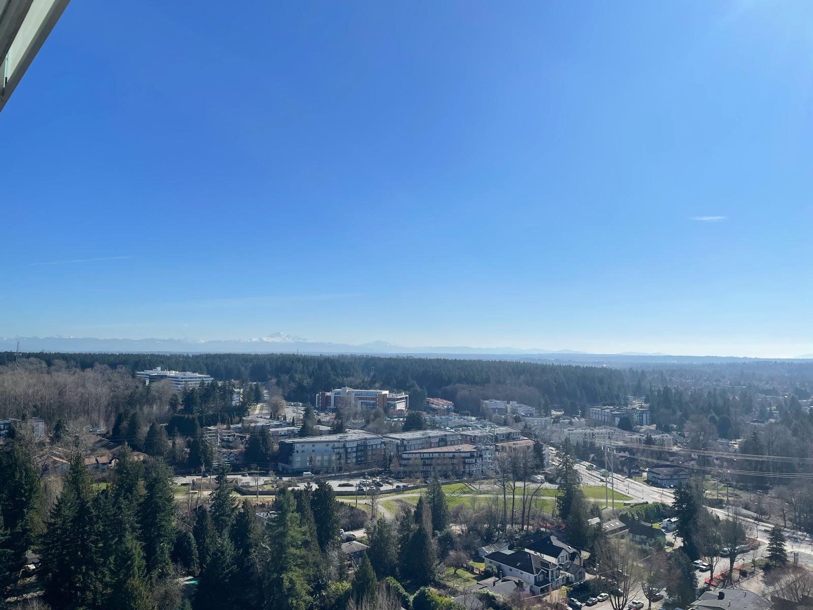 WhatsApp Image 2026-03-19 at 02.58.03.jpeg