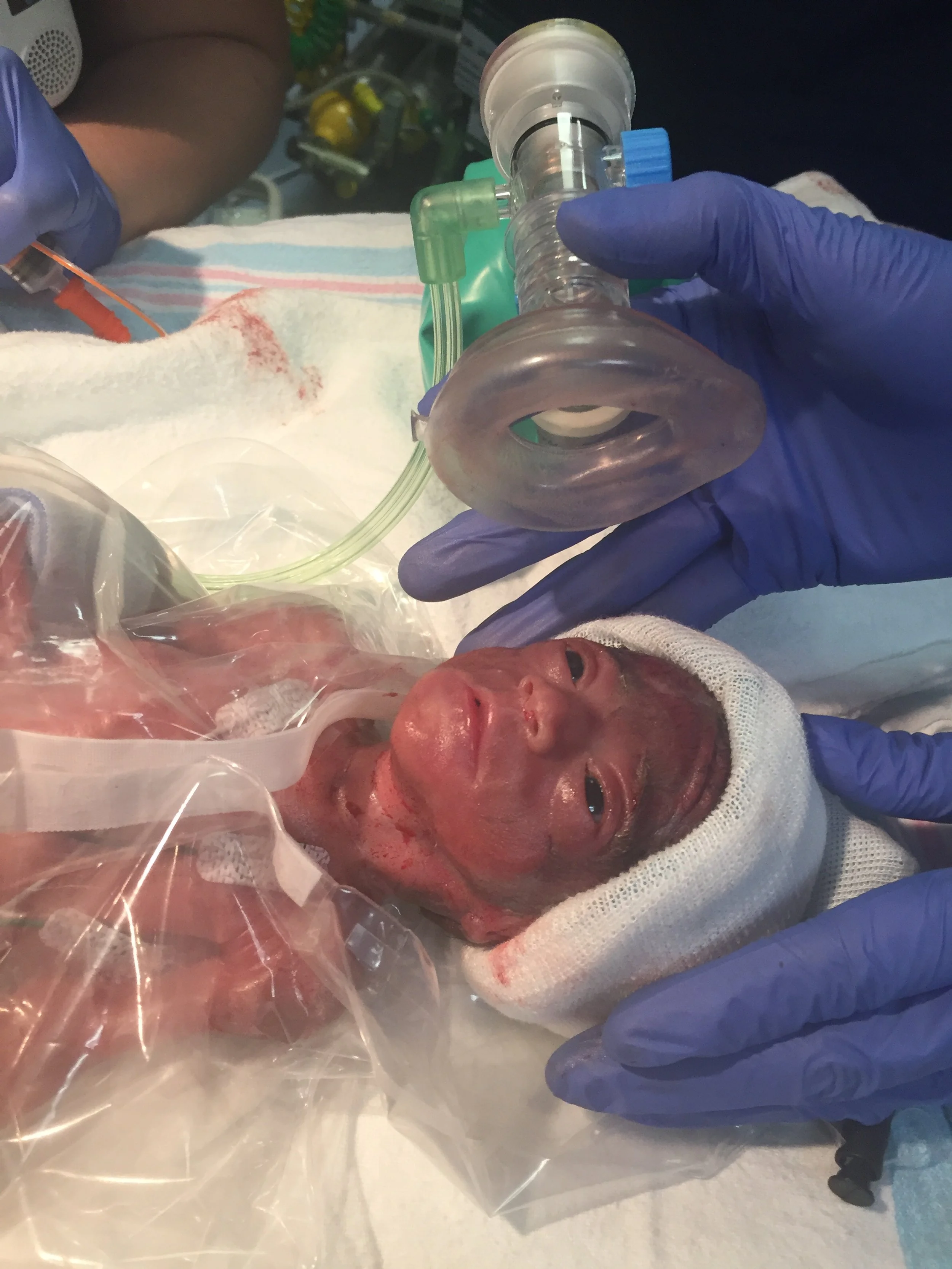 Oct. 23, 2021, Our Author/Ceo gave birth to a precious baby girl at 6 months.  The little one weight 1lbs 11oz. Welcome baby Powell. 