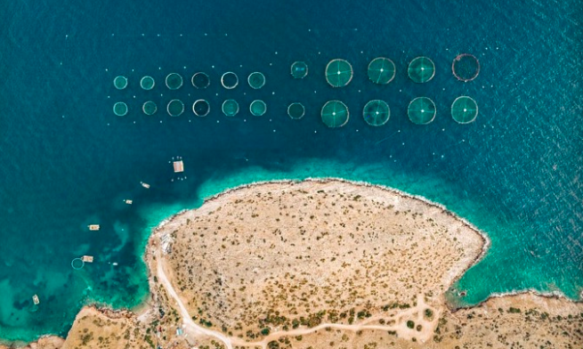 You’re Gonna Need a Bigger Boat — How Synthetic Biology will Change the Bluetech Landscape