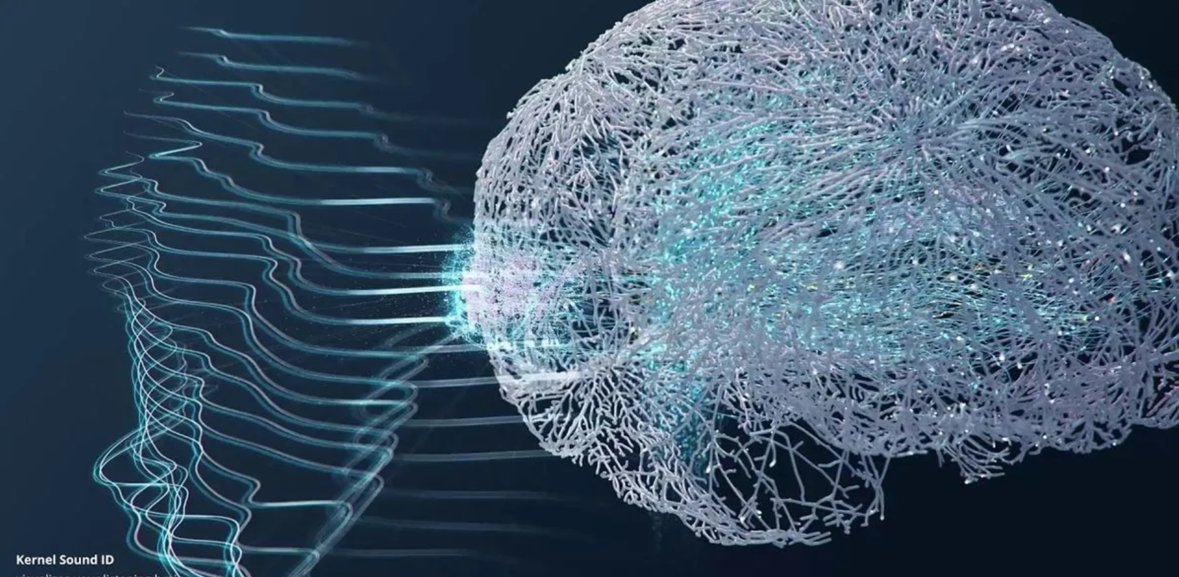 Kernel Raises $53M to make the Human Brain Easy to Read