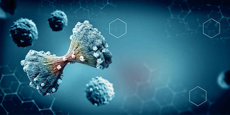UCLA, Cedars-Sinai, &amp; UCSC researchers received $5.75M grant to help study role of obesity in development of pancreatic cancer