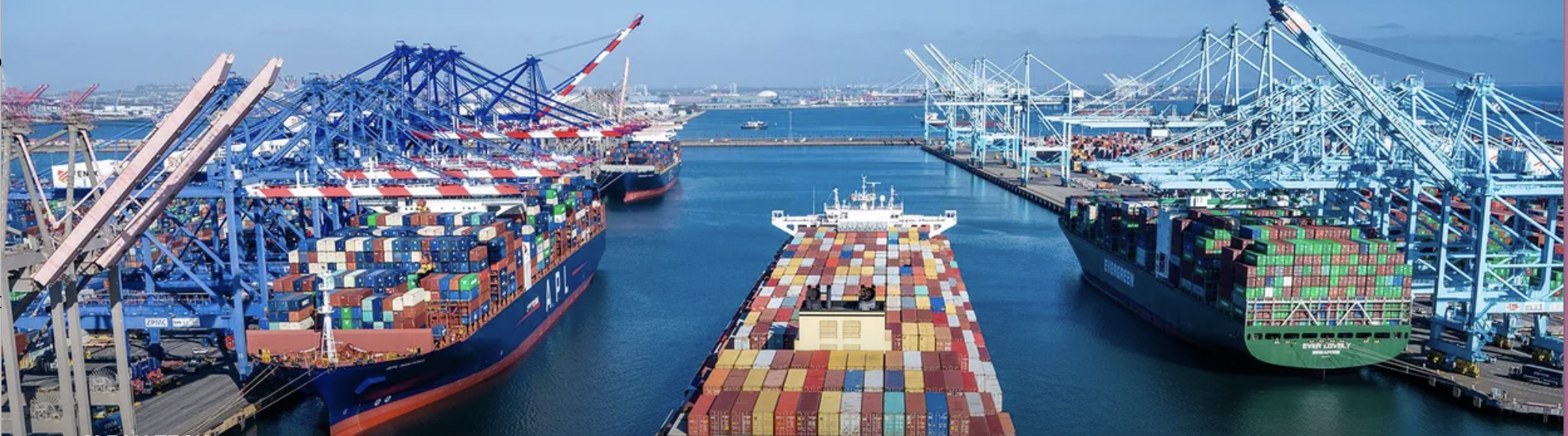 Braid Theory's Plan to Build the Next Cohort of Ocean Tech Startups