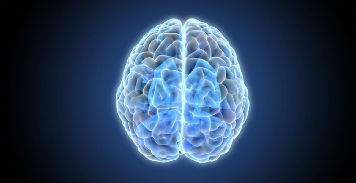 Eli Lilly Turns to Startup Capsida to Bring Gene Therapy Into the Brain