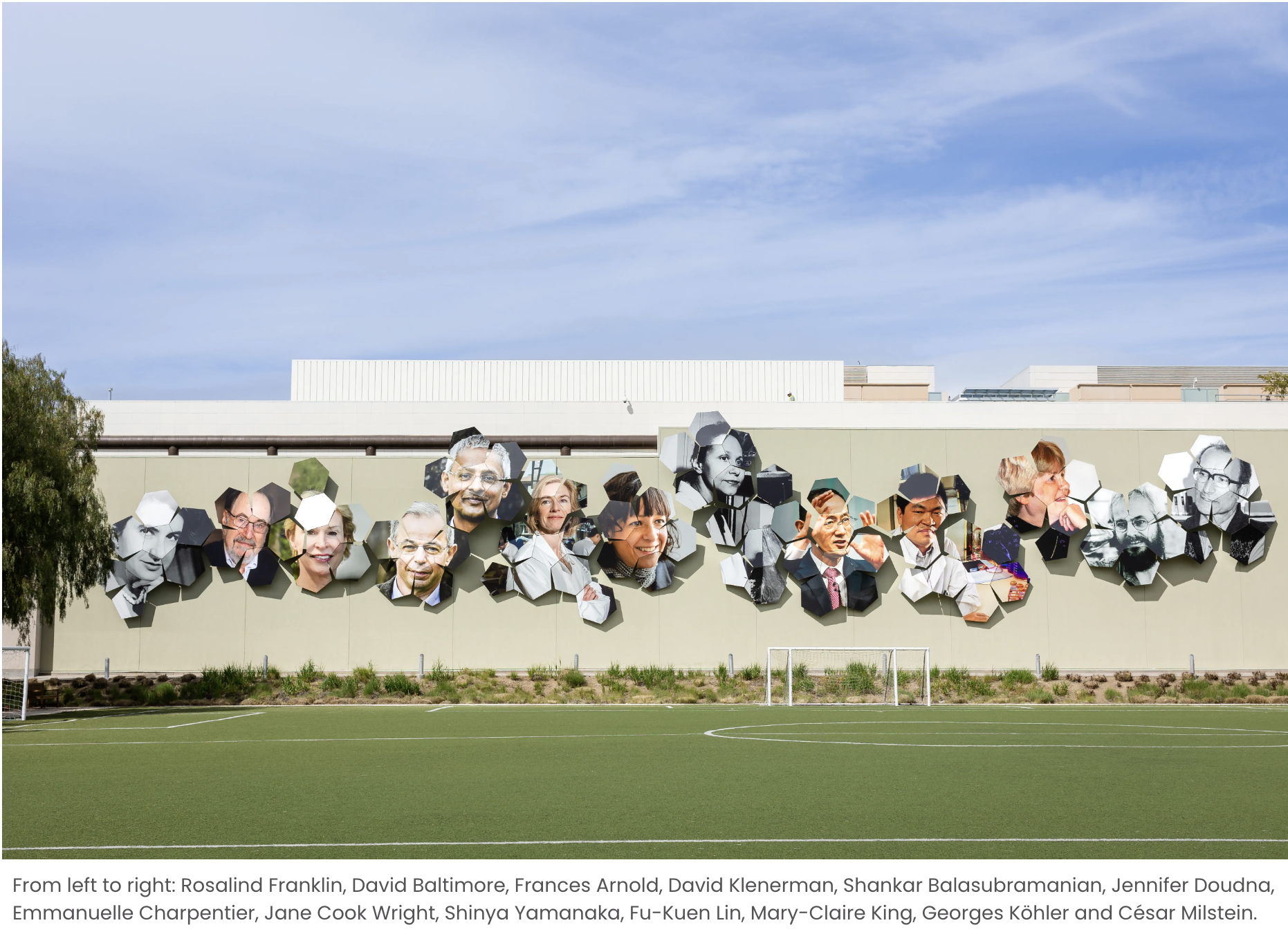 Scientist Mural Unveiled at Amgen Headquarters