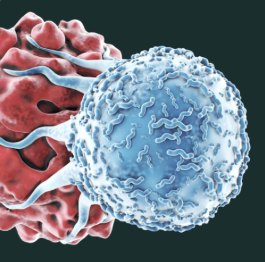ImmPACT Bio Granted FDA Fast Track Designation for IMPT-514 for the Treatment of Both Active, Refractory Lupus Nephritis and Systemic Lupus Erythematosus