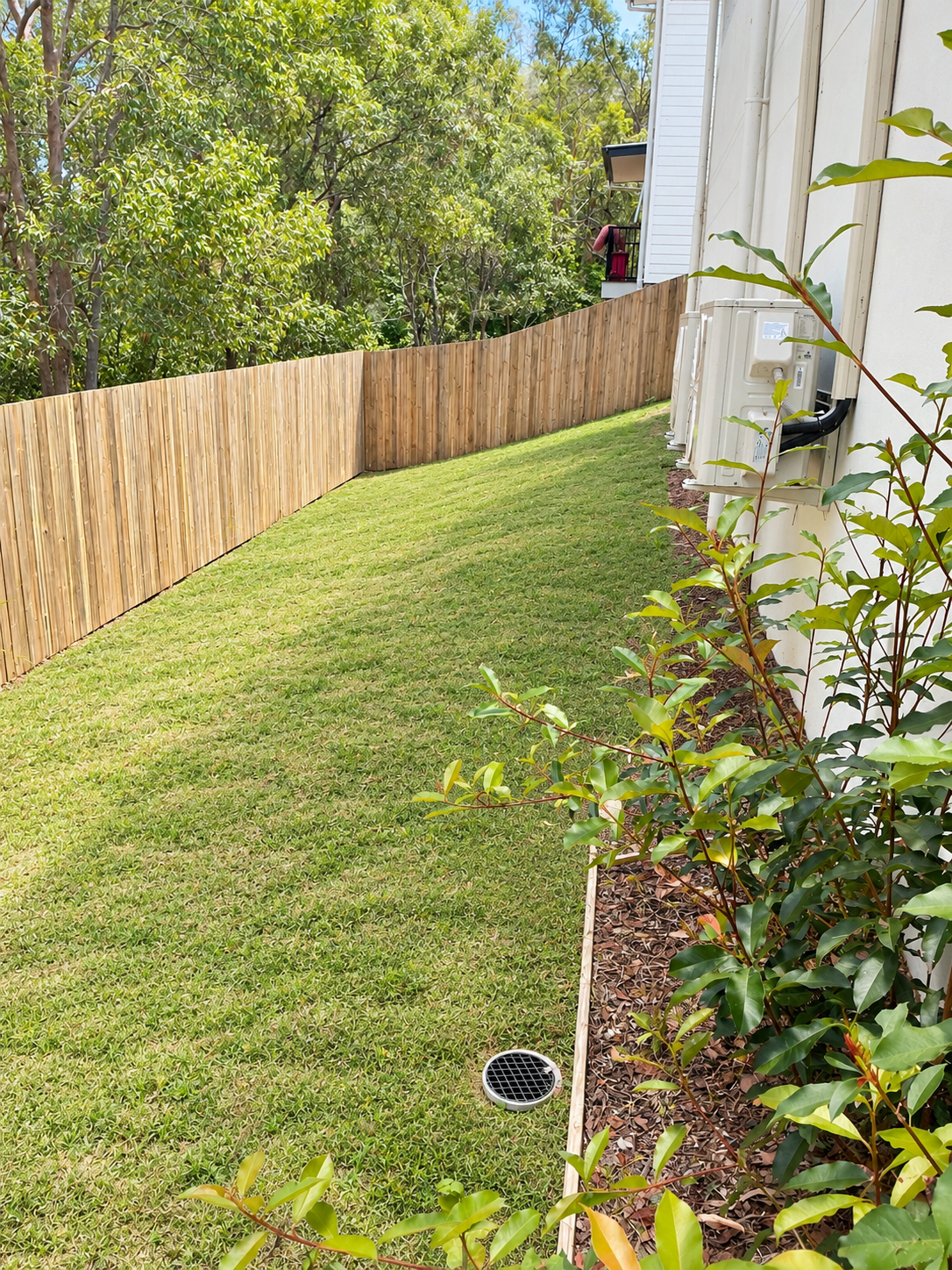 Modern Side Yard with Lush Greenery.png