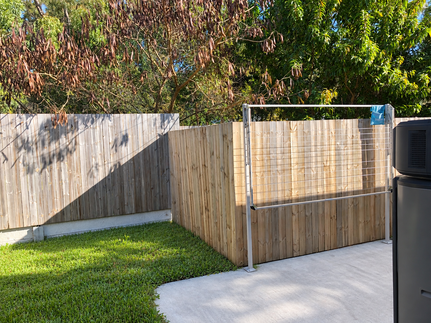 Sunlit Backyard Corner with Clothesline.png