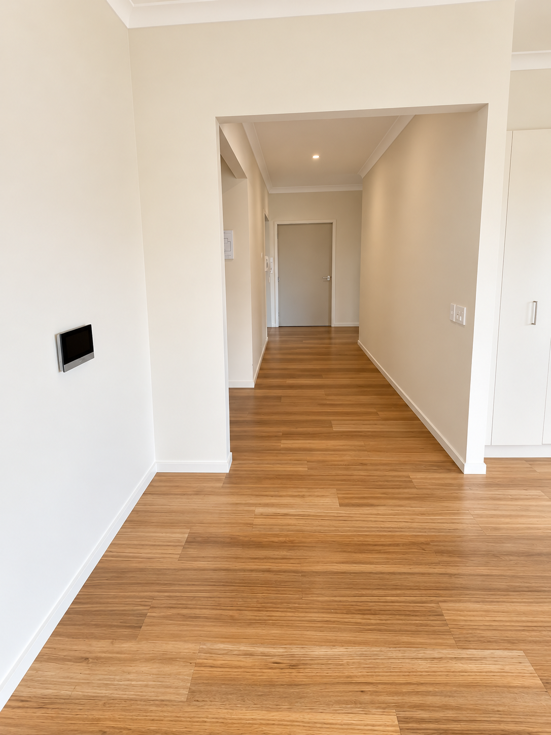 Minimalist Neutral Hallway with Wood Floors.png
