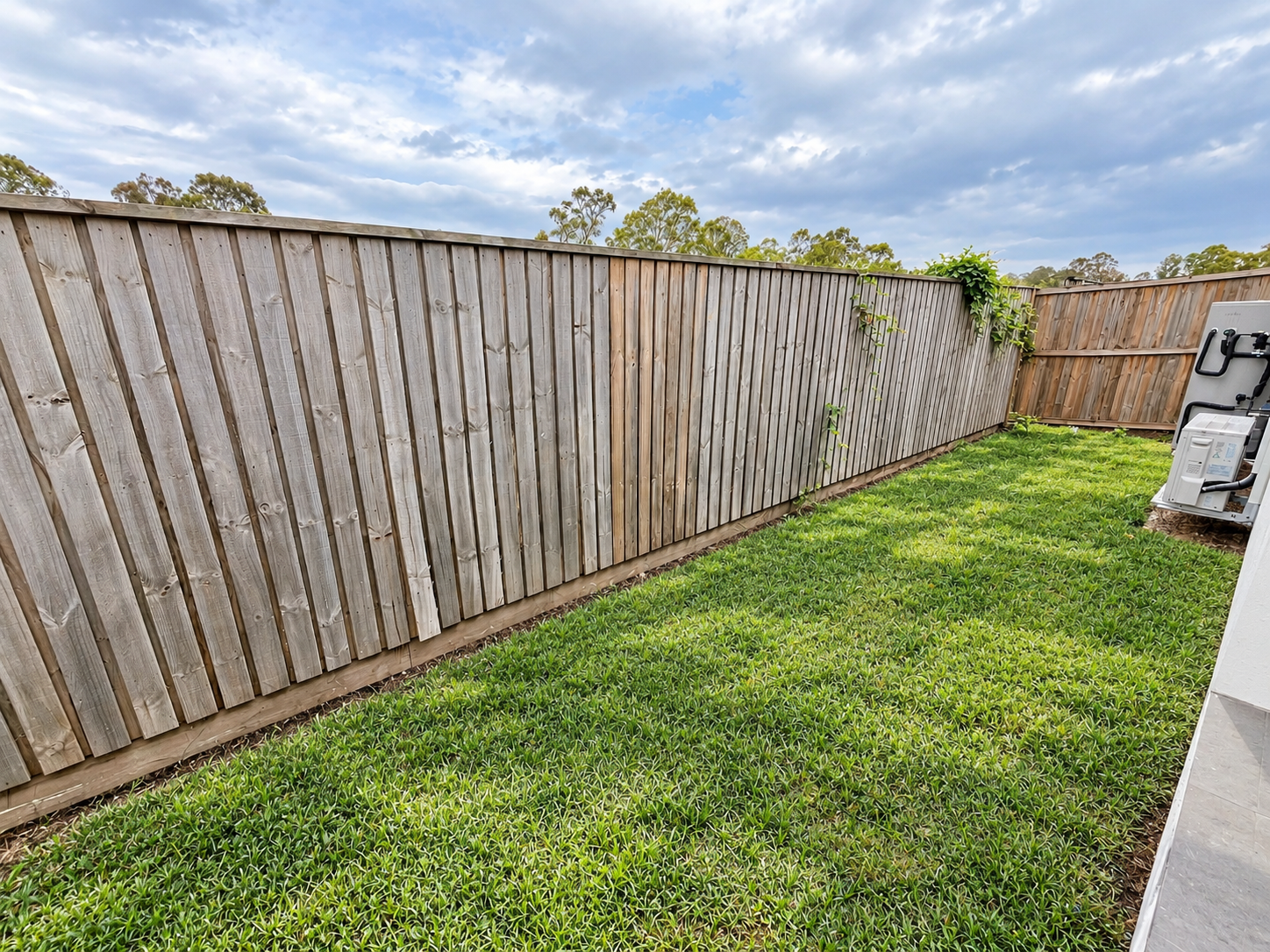 Tidied Backyard Fence and Lawn.png