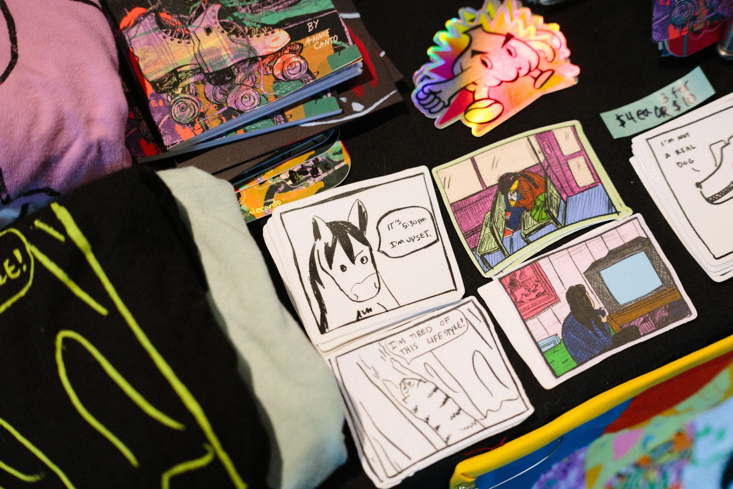 Zine Fest Squamish Library_0065 (1).JPG