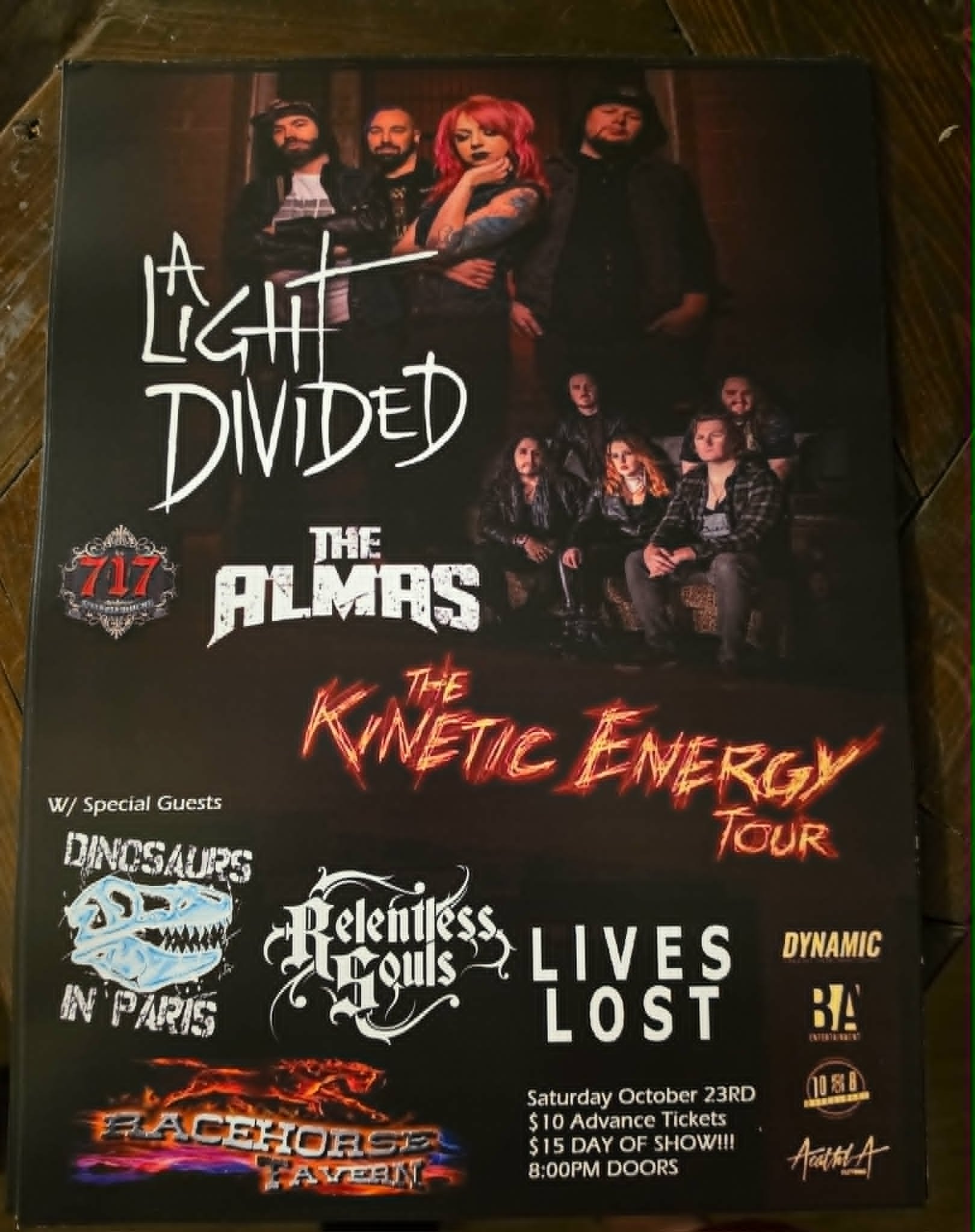 Poster A Light Divided.jpg
