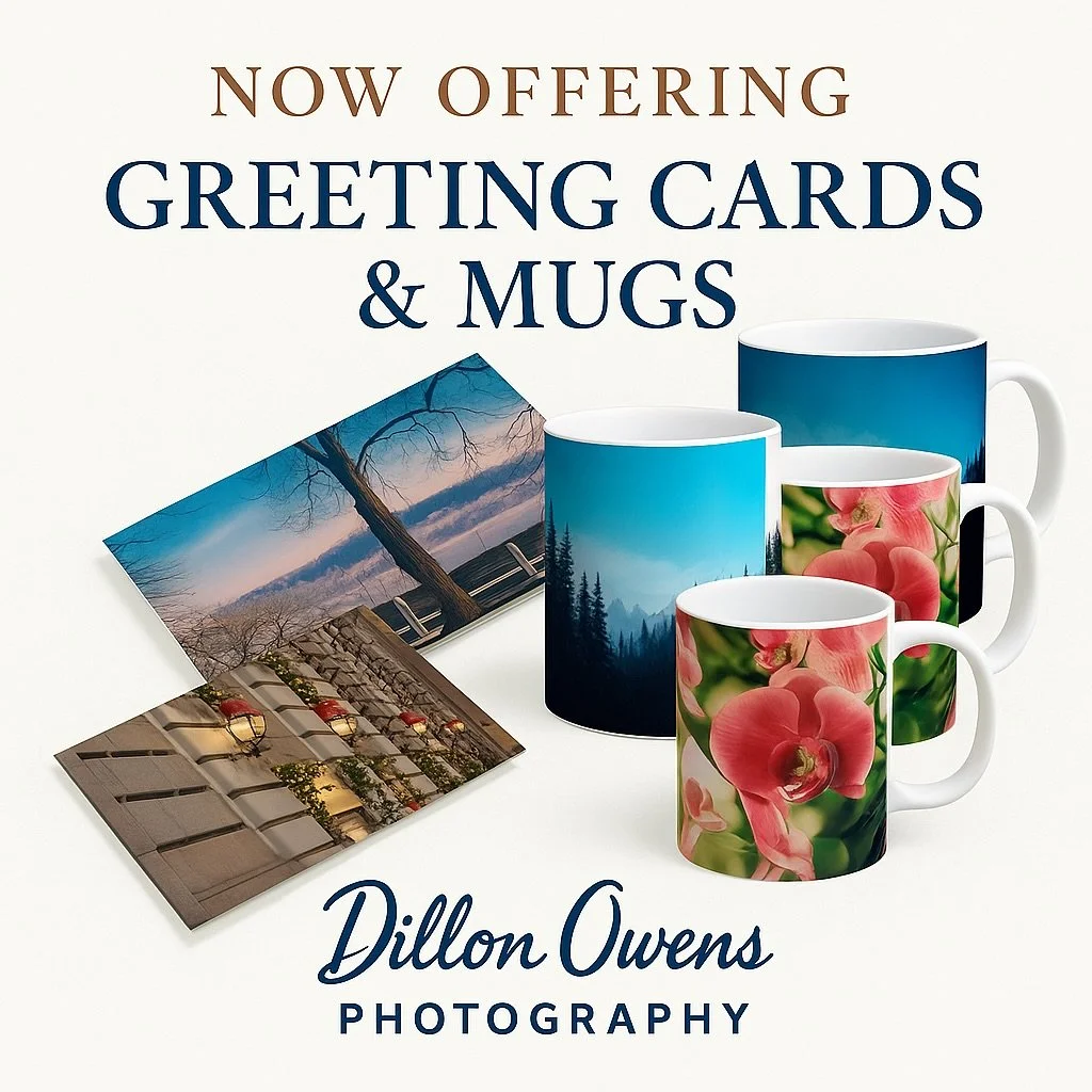 ✨ Exciting News! ✨

Dillon Owens Photography is now offering greeting cards and mugs featuring my original fine art photography. From cityscapes to floral details, you can now enjoy art not just on your walls but in your everyday moments too.

🖼️ Ex