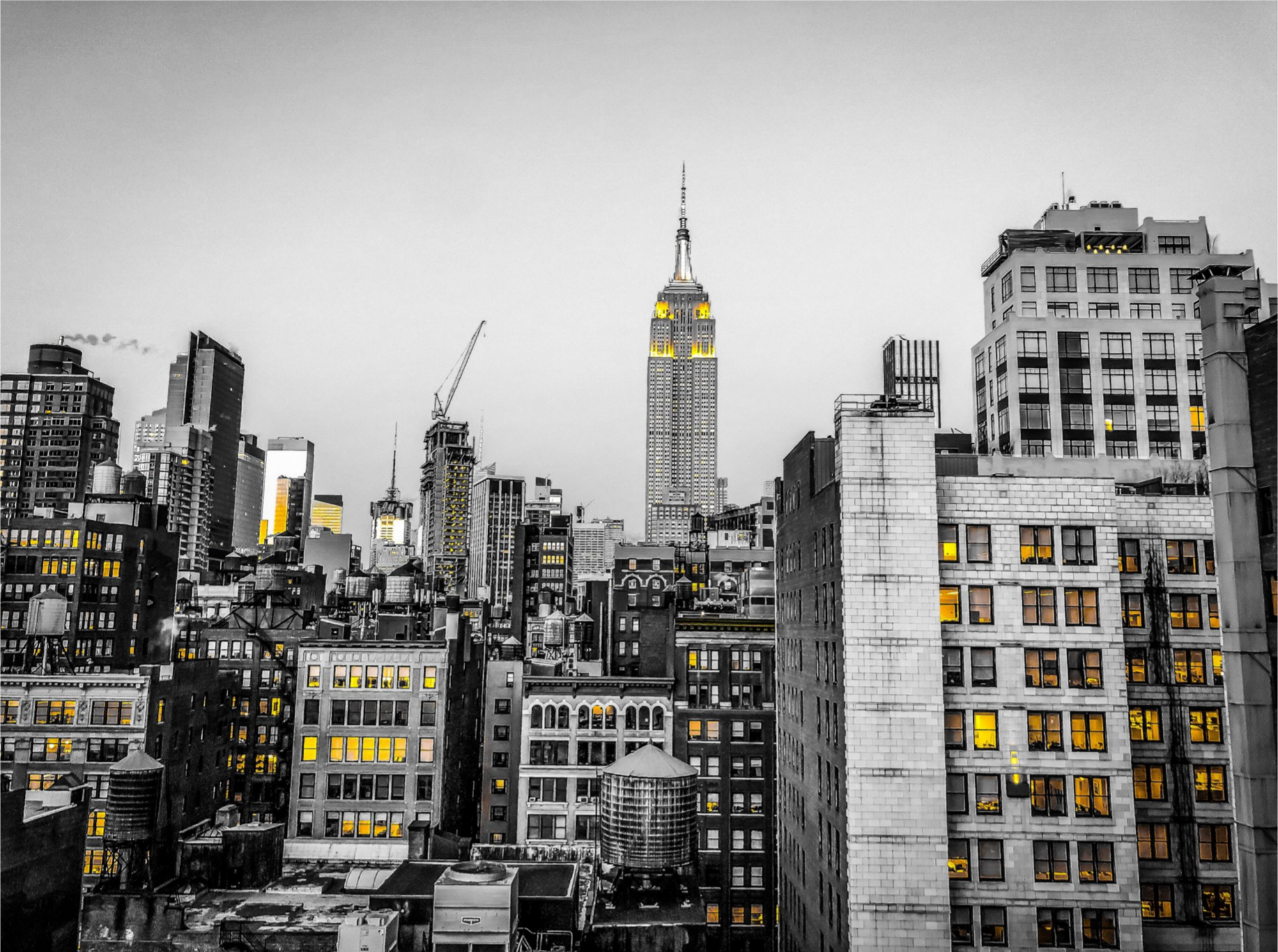SF_15x11.1875_Black & Gold City.png