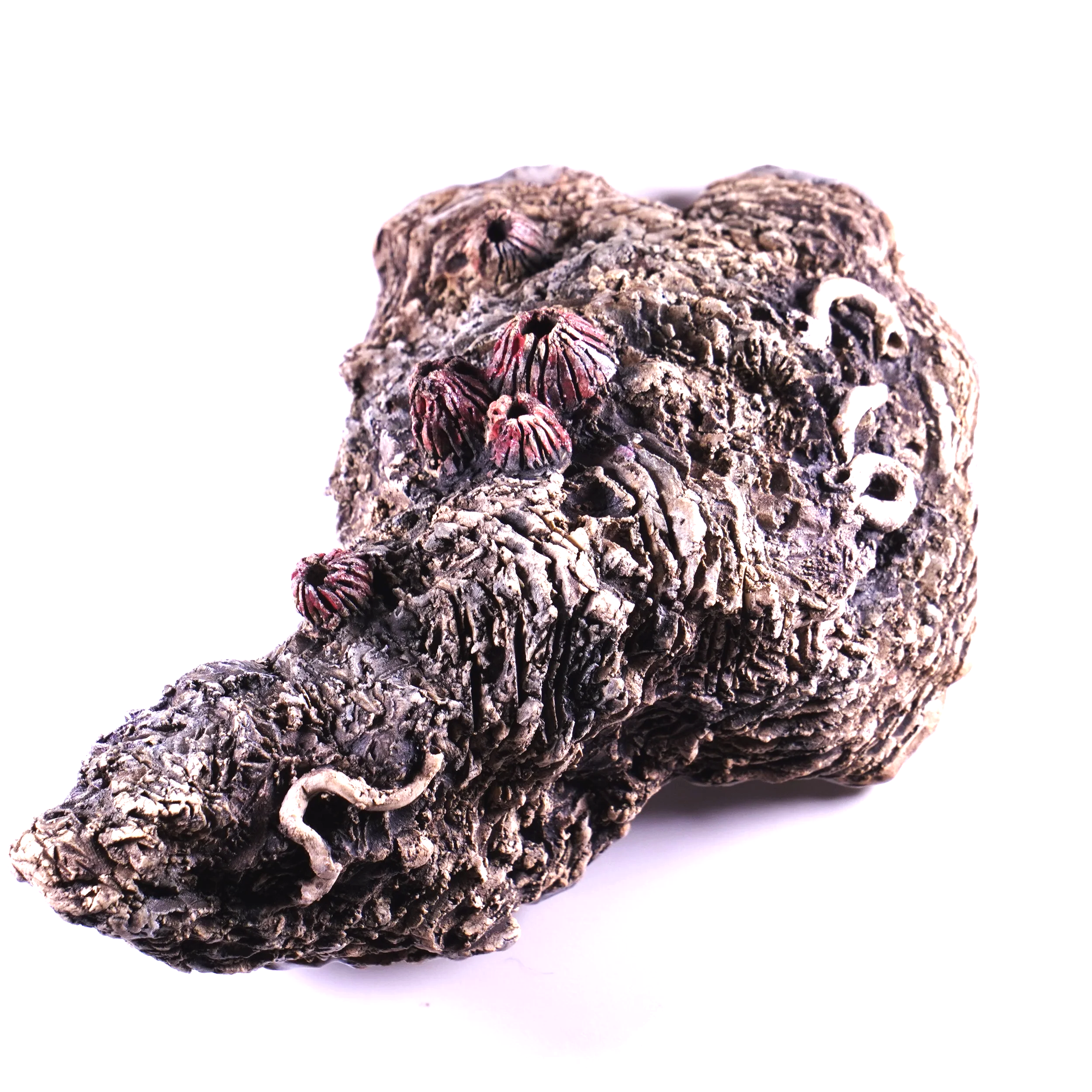 DSC01120.png