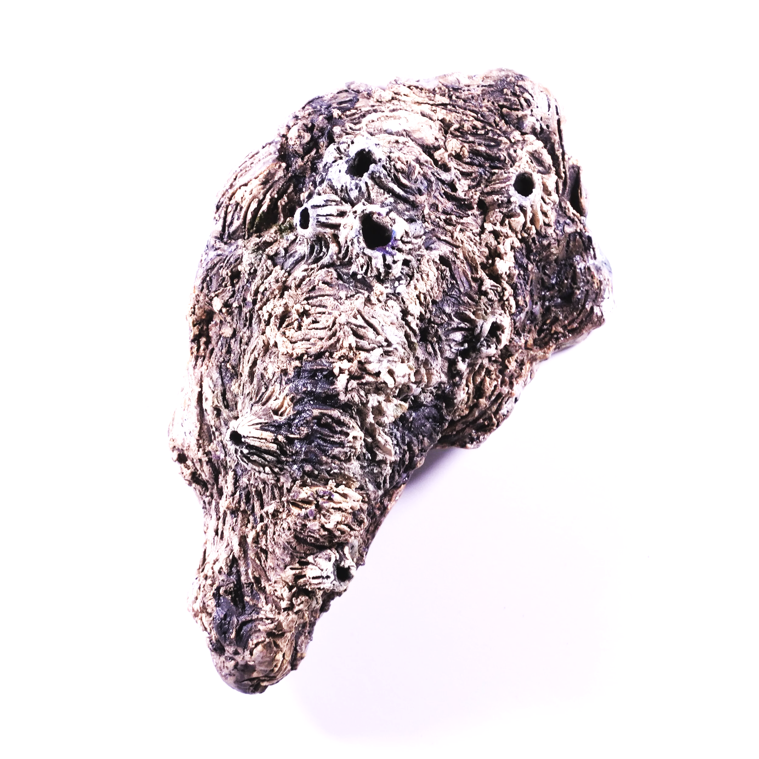 DSC00813.png