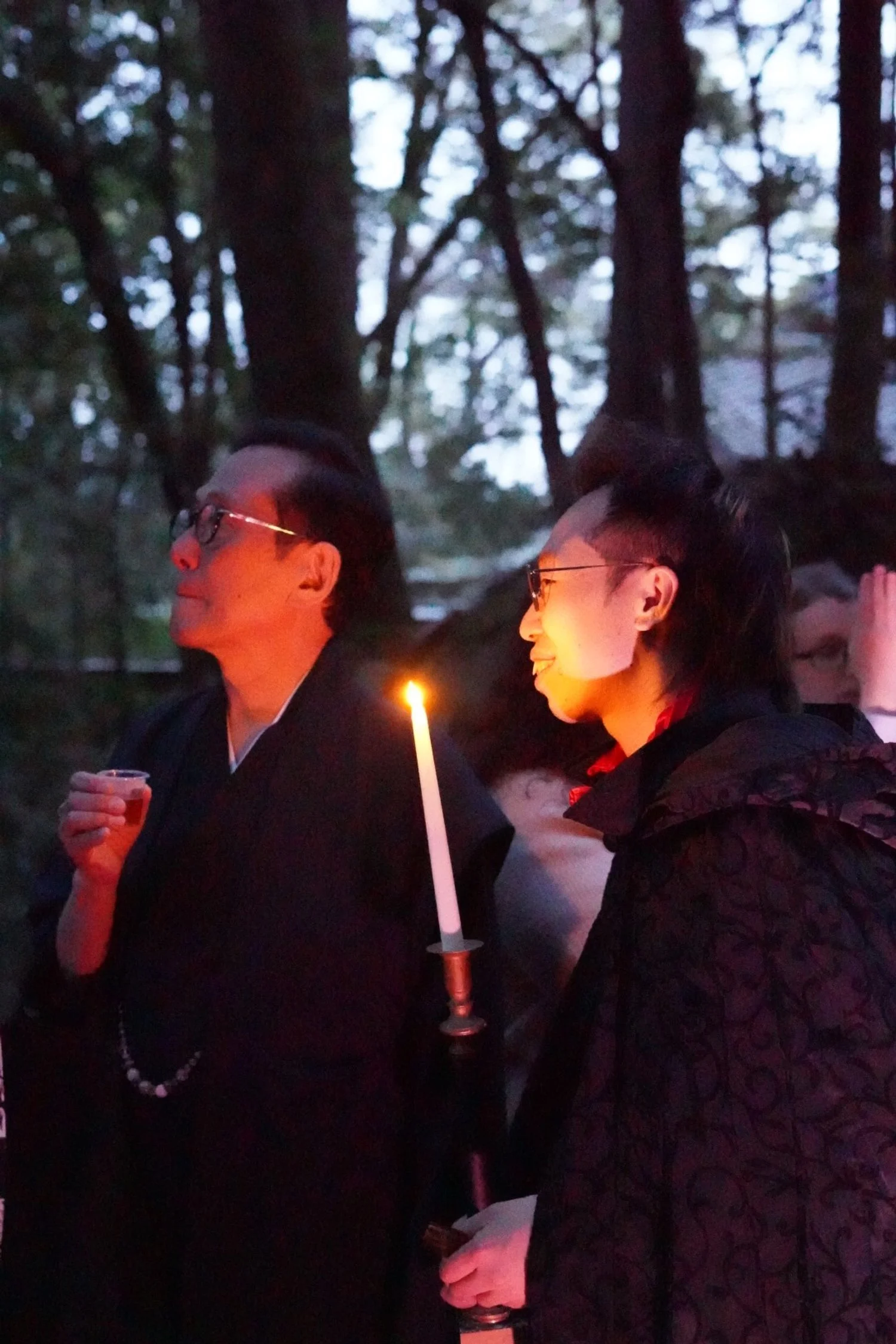 DSC02547 (Large).JPG