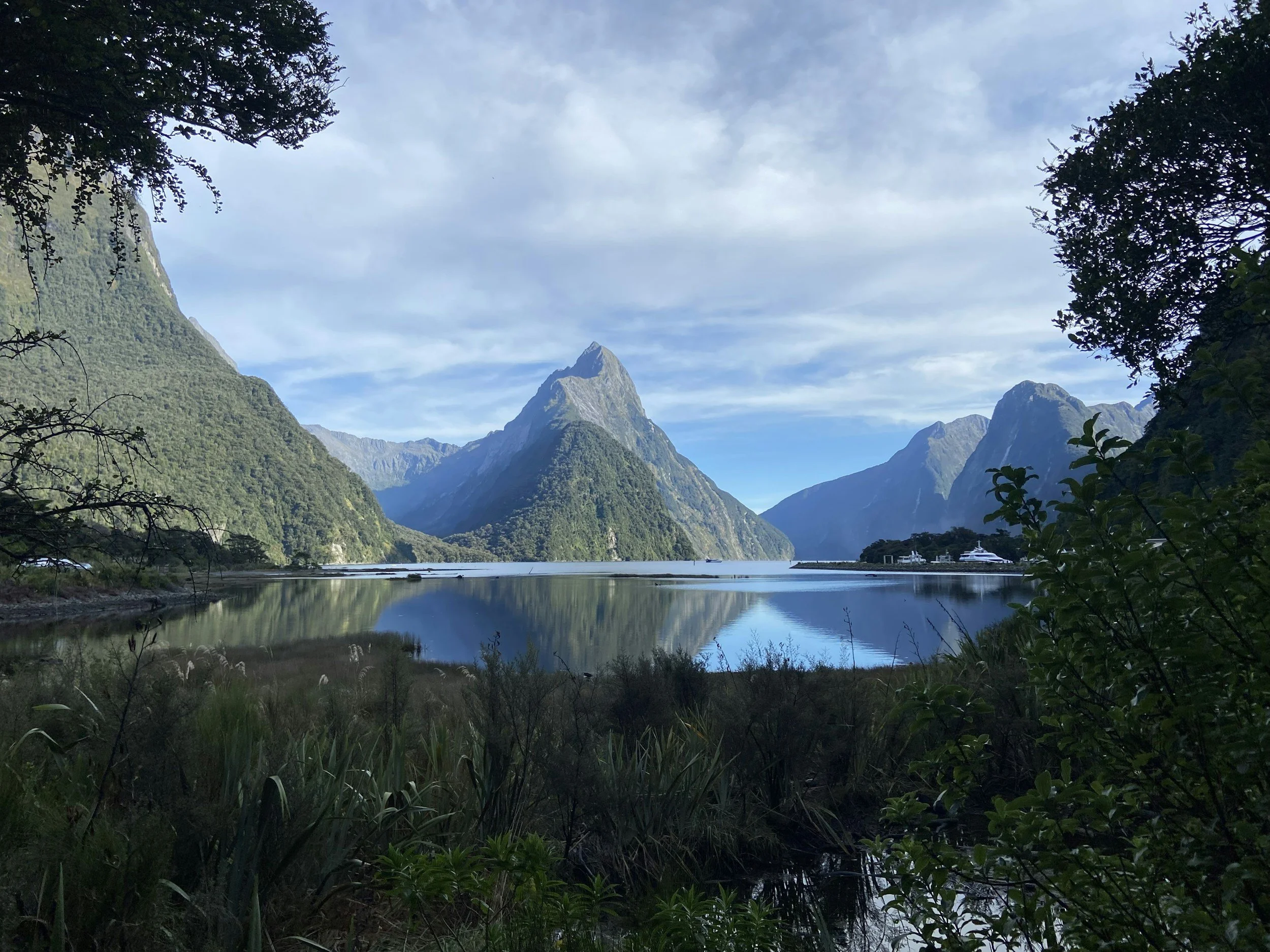 Is a Milford Sound Day Tour from Queenstown Worth It?