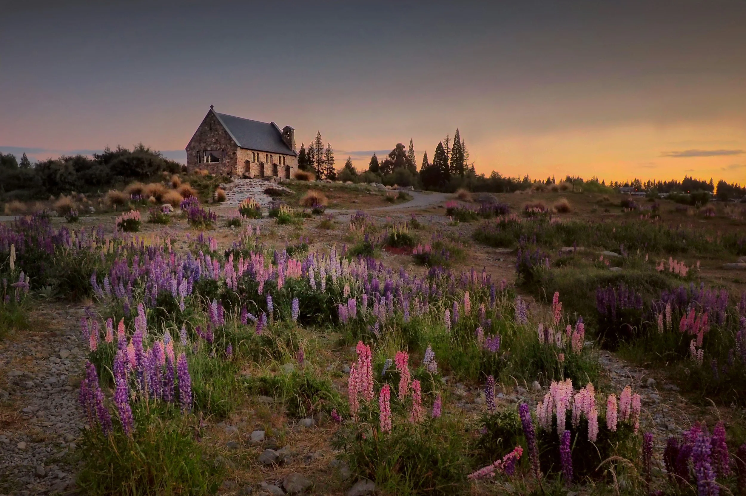 Lake Tekapo at sunset during an overnight Mackenzie Country tour