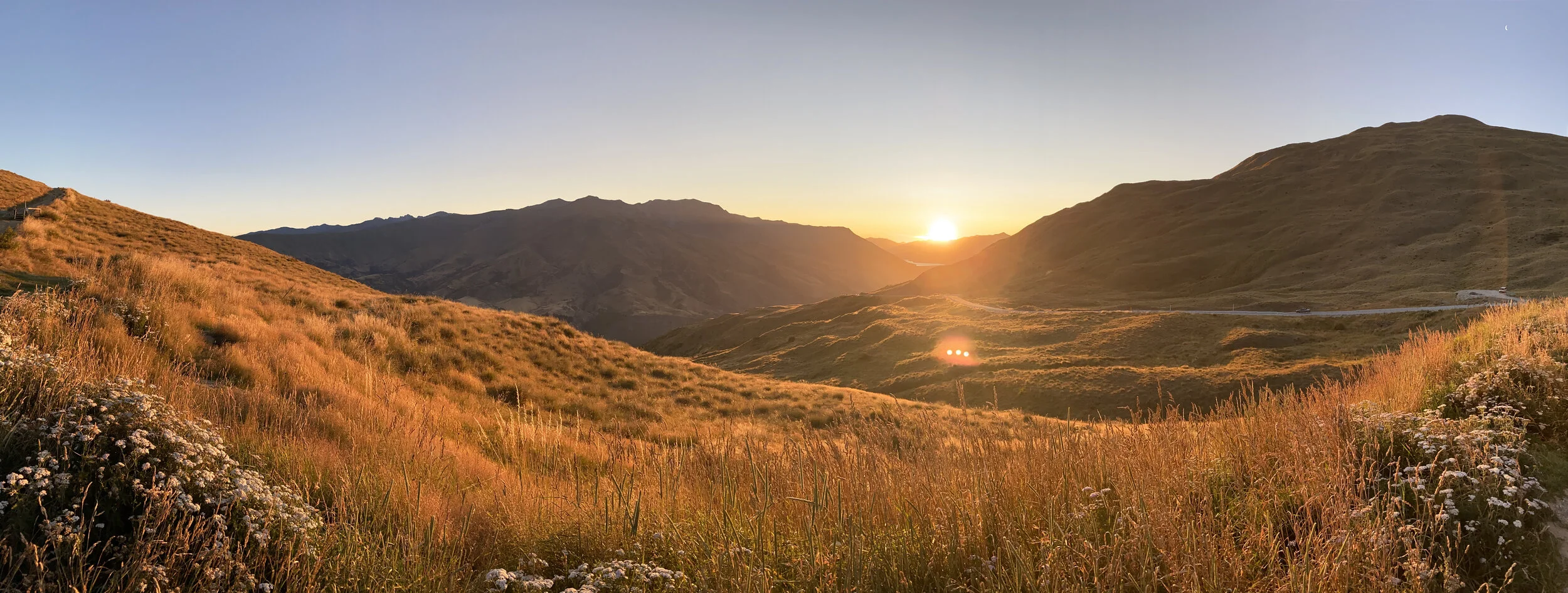 Sunset over a mountainous landscape with grassy hills and a few wildflowers under a clear sky.