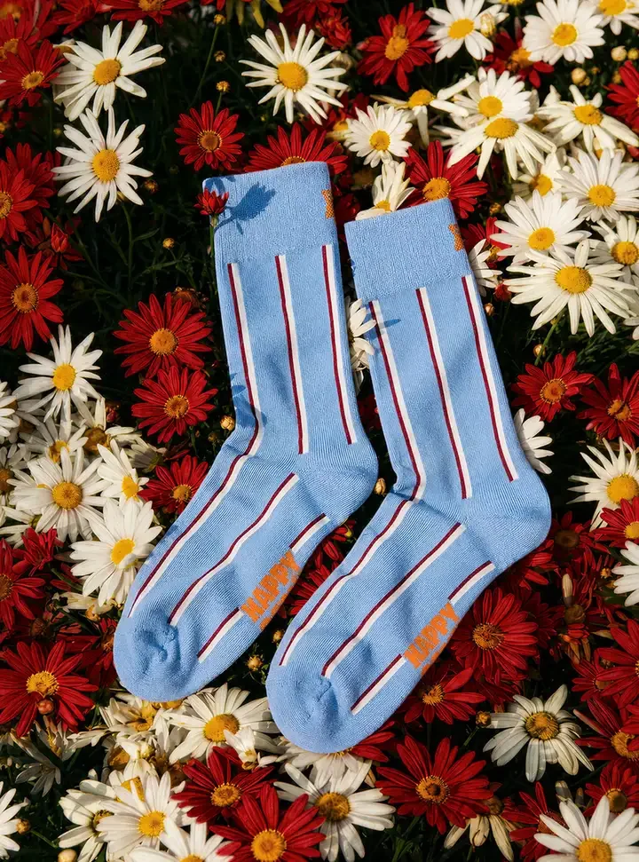 HAPPY SOCKS